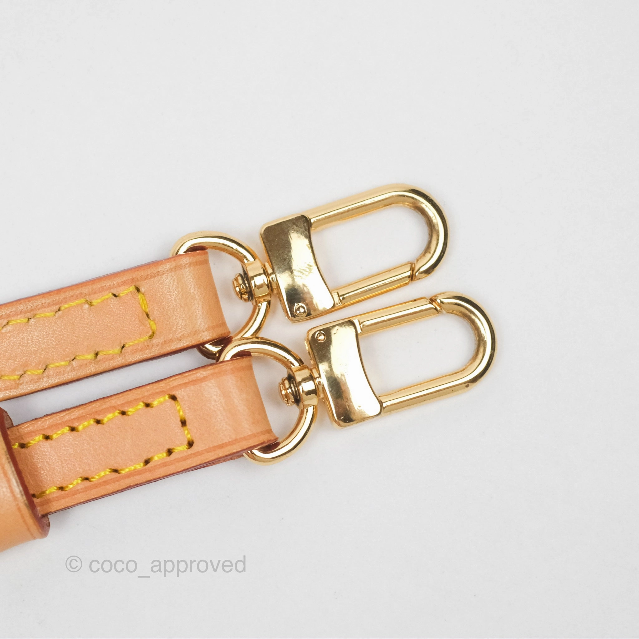 Louis Vuitton Monogram Nice Mini