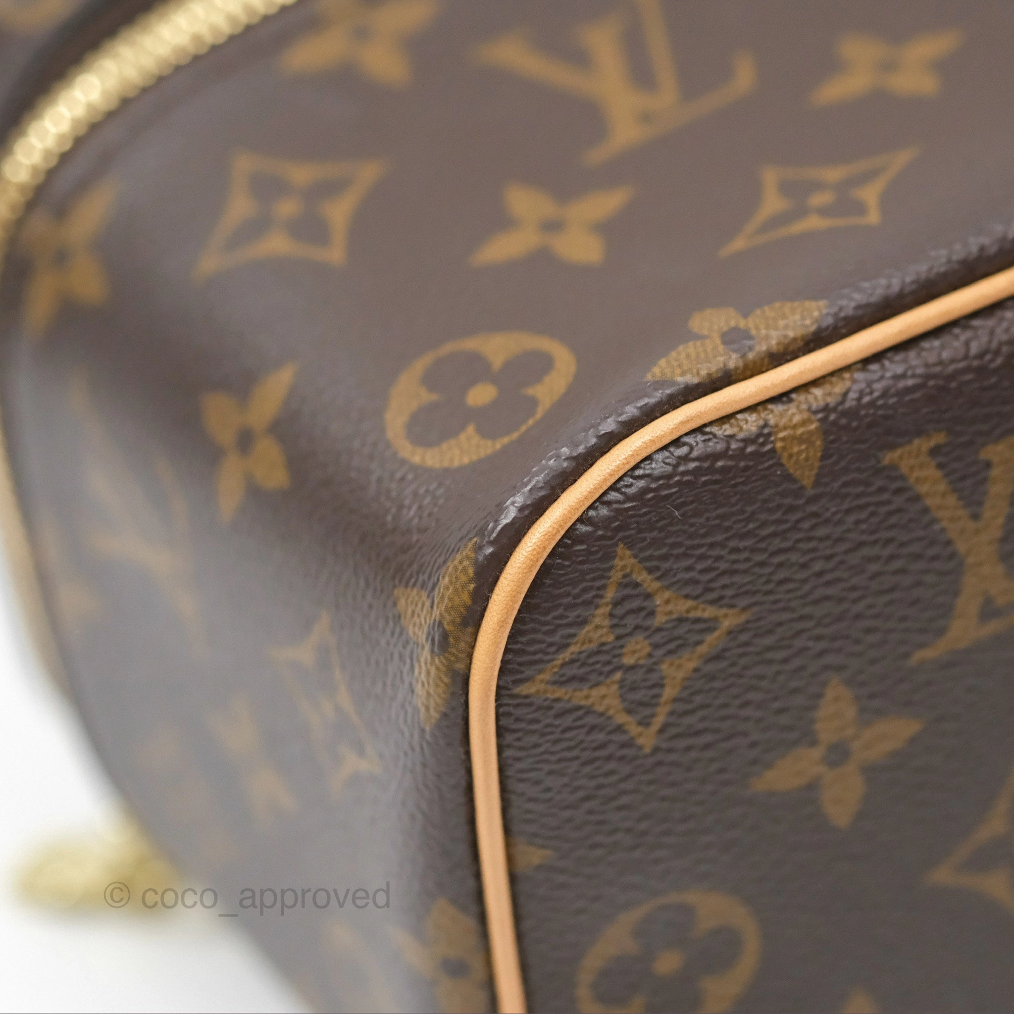 Louis Vuitton Monogram Nice Mini