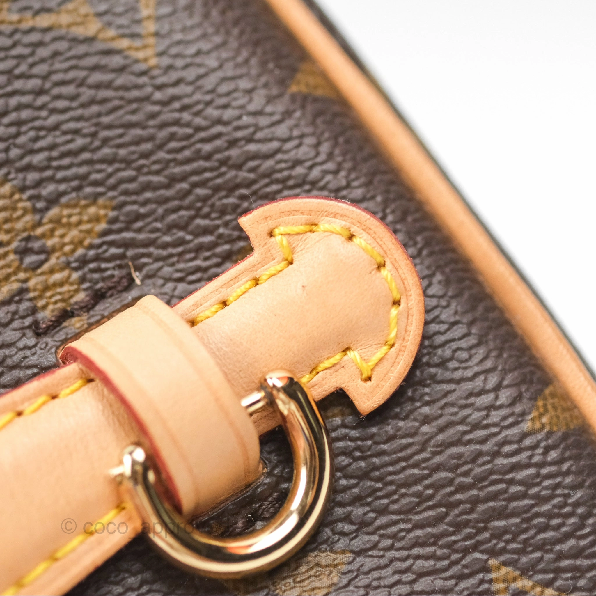Louis Vuitton Monogram Nice Mini