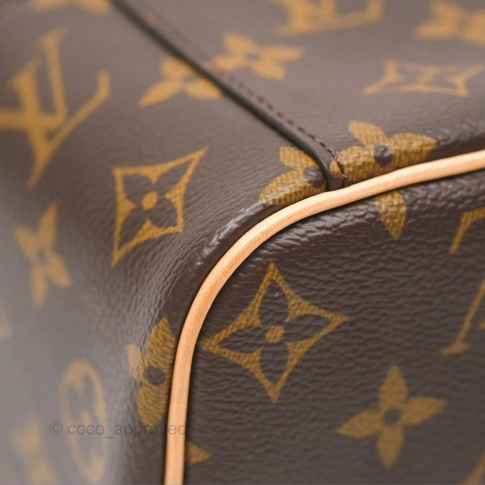 Louis Vuitton Monogram Nice Mini