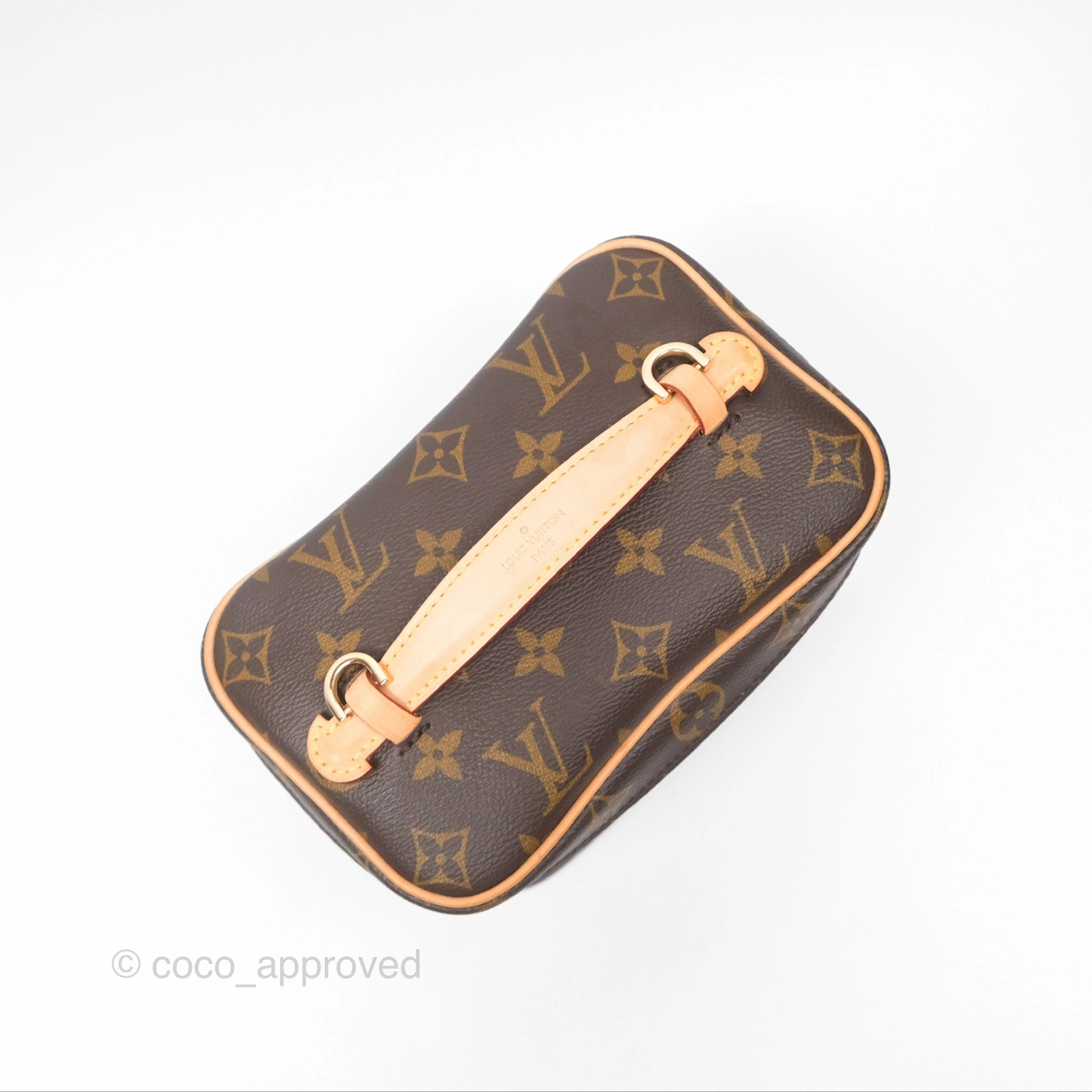 Louis Vuitton Monogram Nice Mini