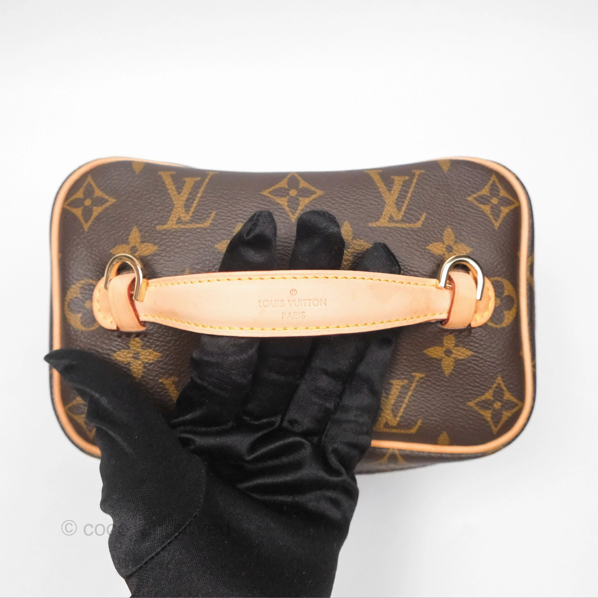 Louis Vuitton Monogram Nice Mini