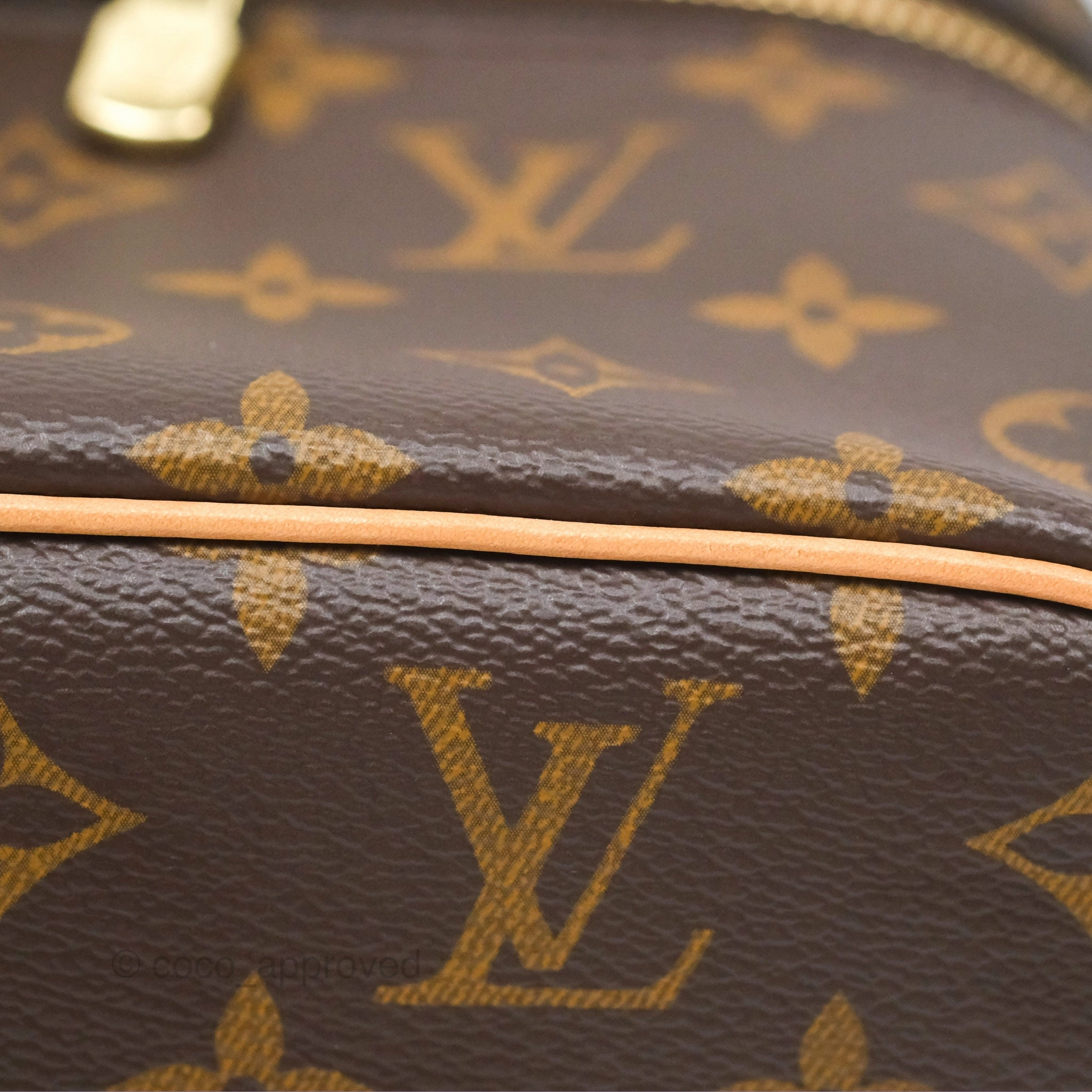 Louis Vuitton Monogram Nice Mini