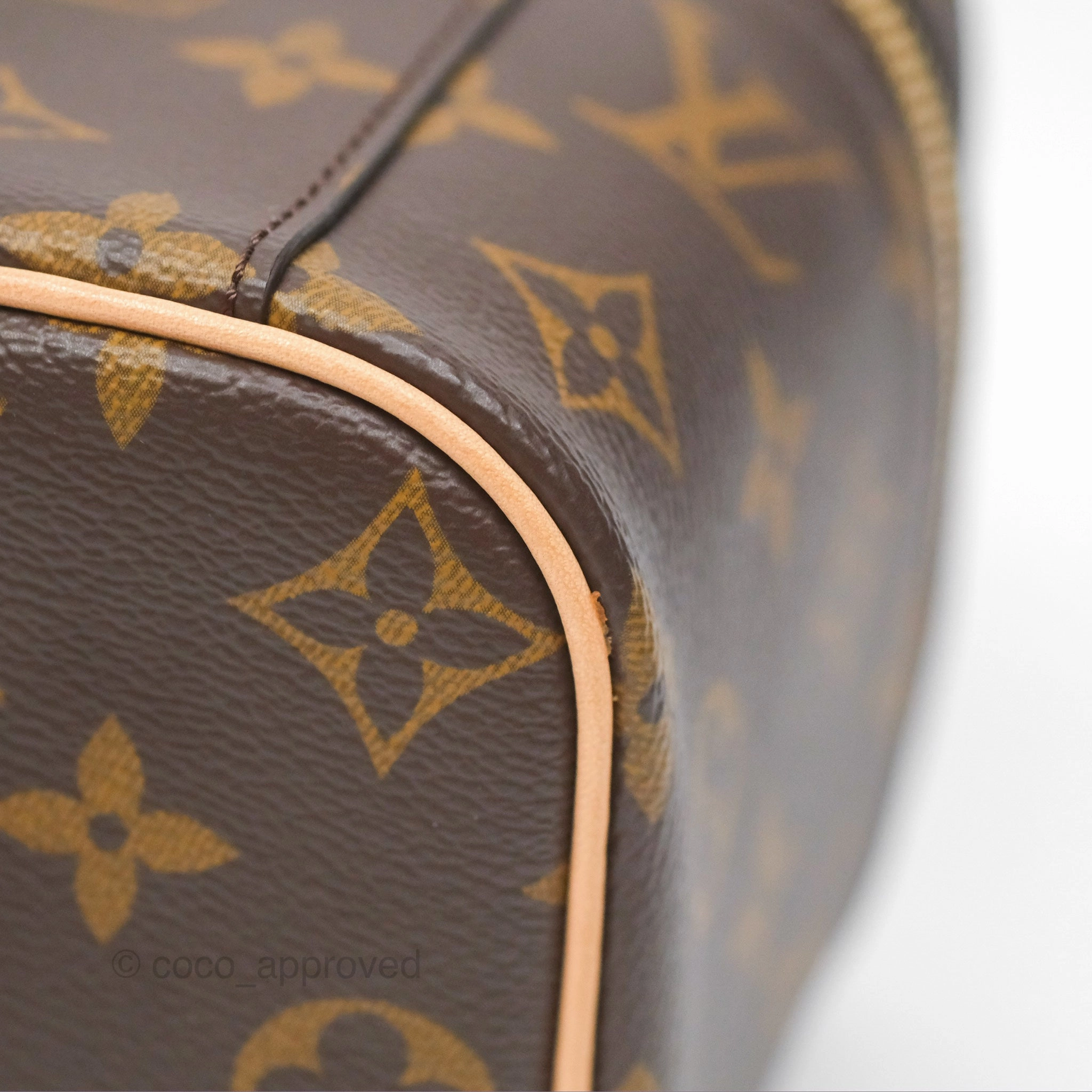 Louis Vuitton Monogram Nice Mini