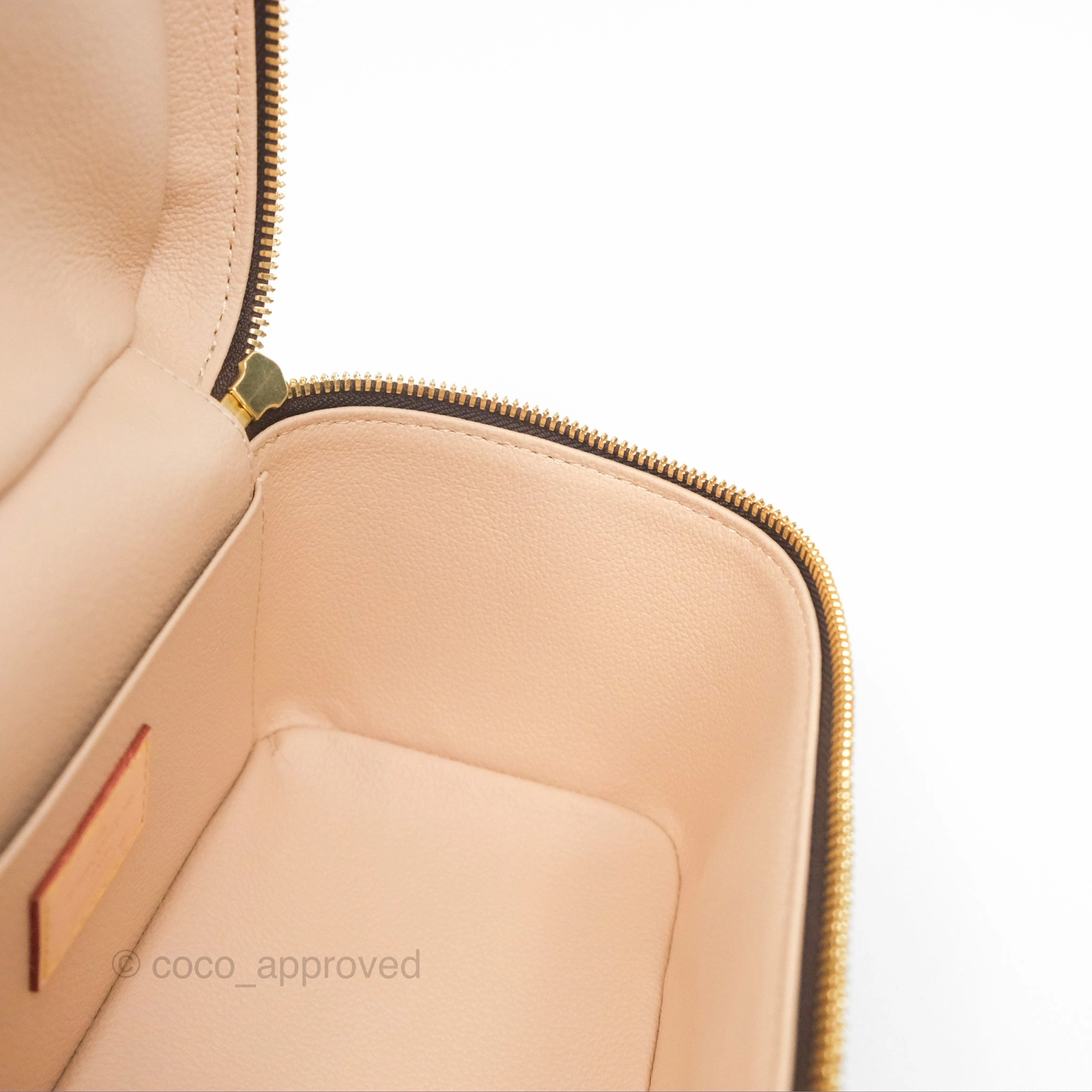 Louis Vuitton Monogram Nice Mini
