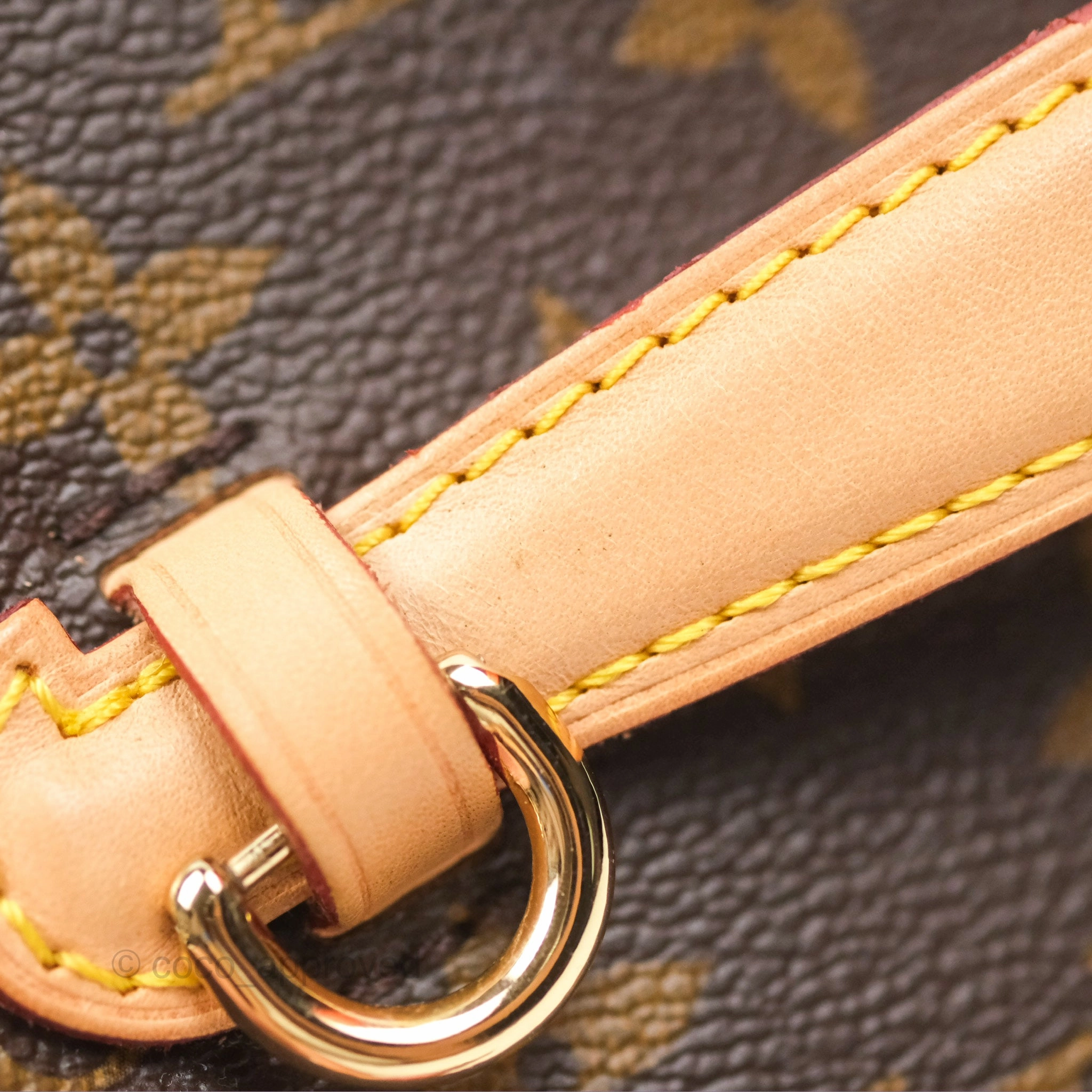 Louis Vuitton Monogram Nice Mini