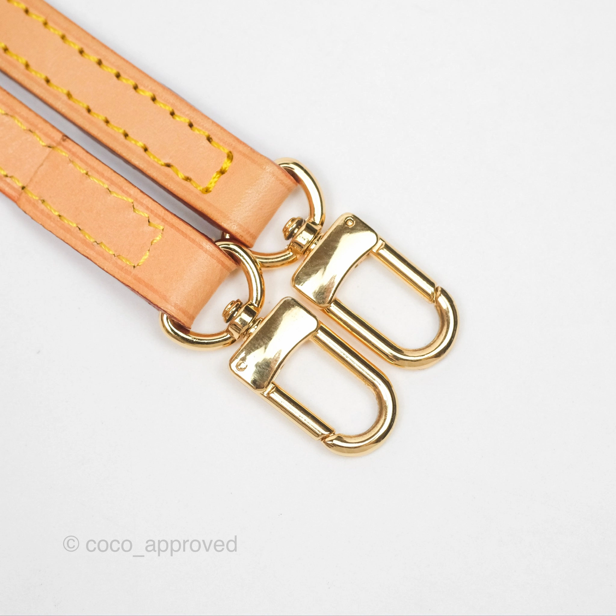 Louis Vuitton Monogram Nice Mini