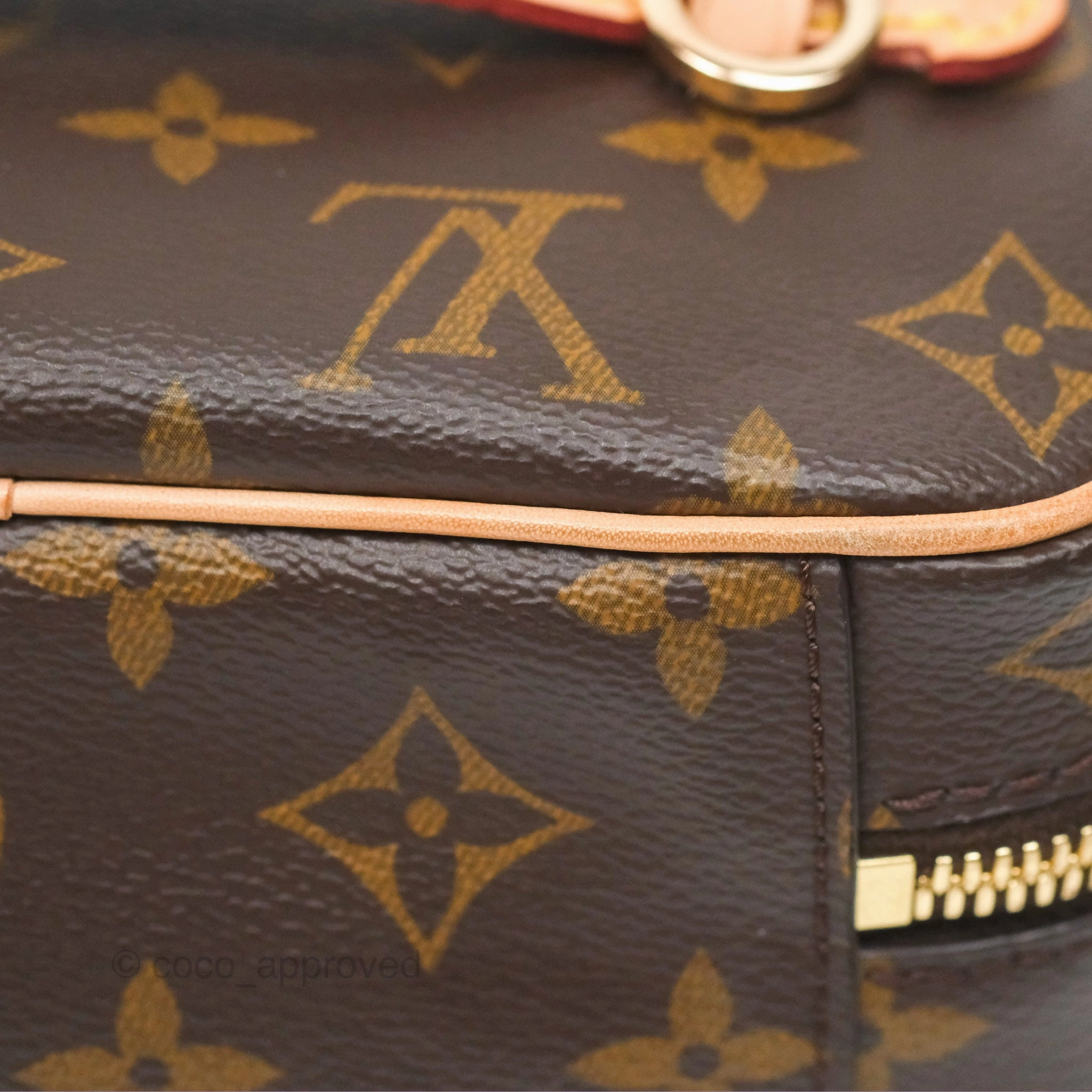 Louis Vuitton Monogram Nice Mini