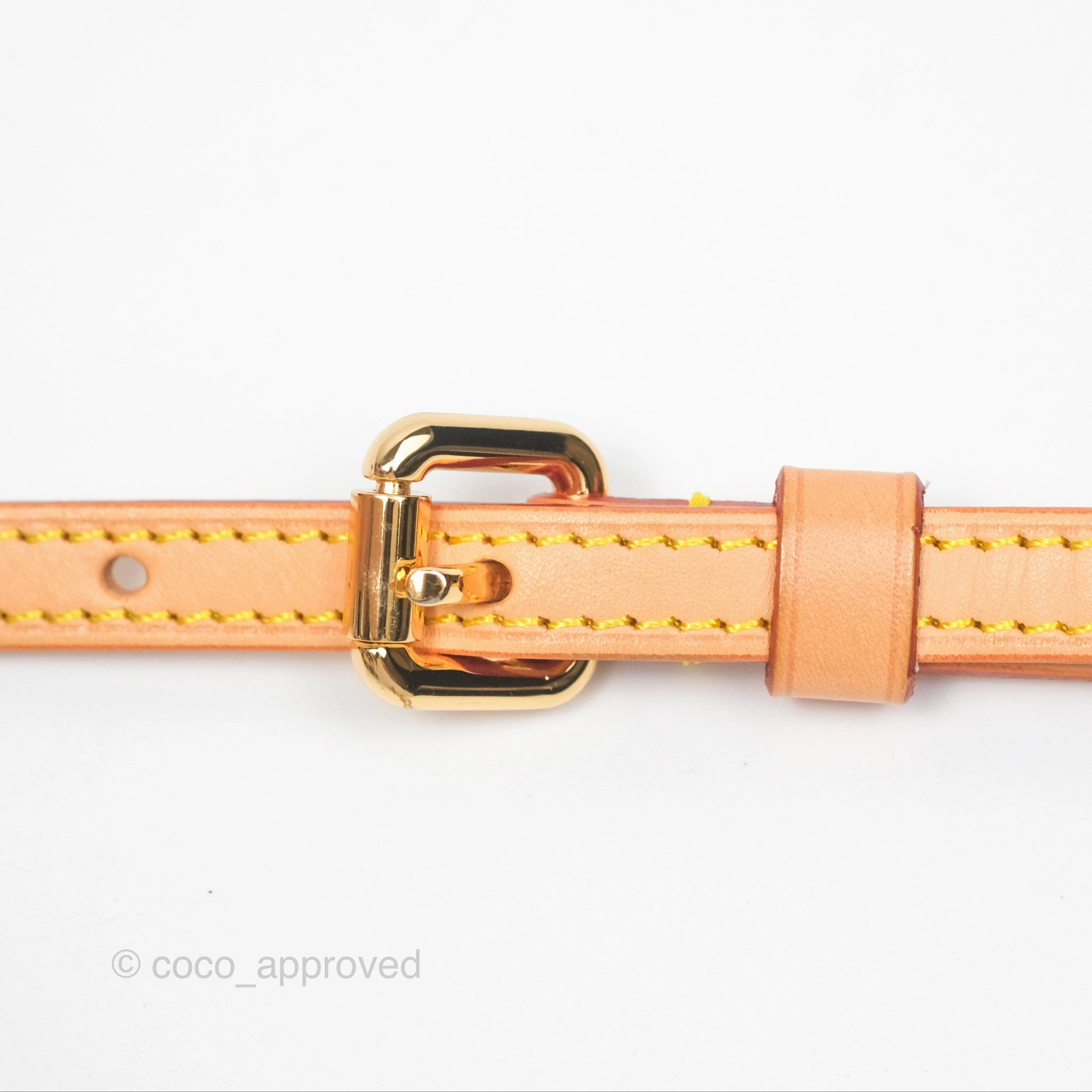 Louis Vuitton Monogram Nice Mini