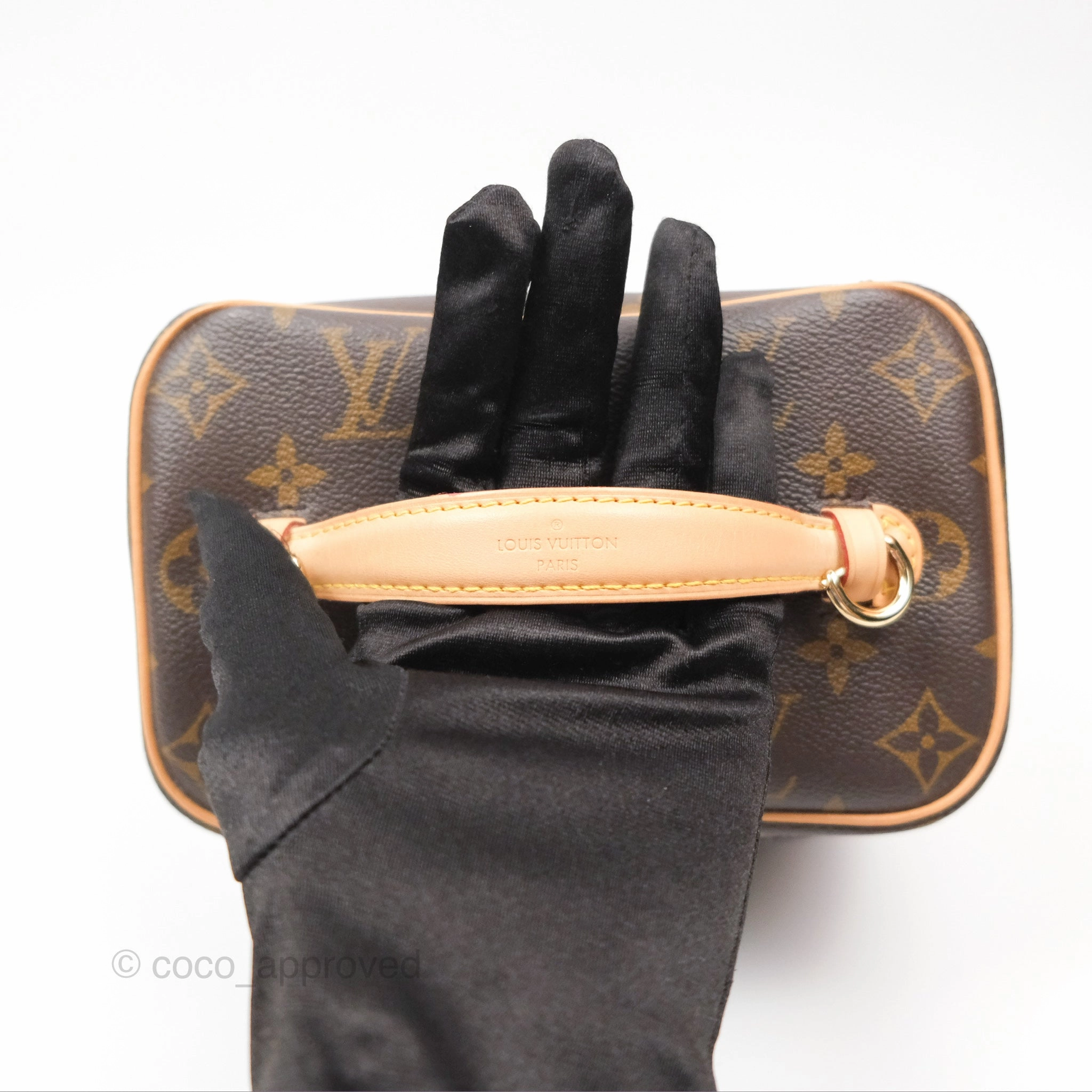 Louis Vuitton Monogram Nice Mini