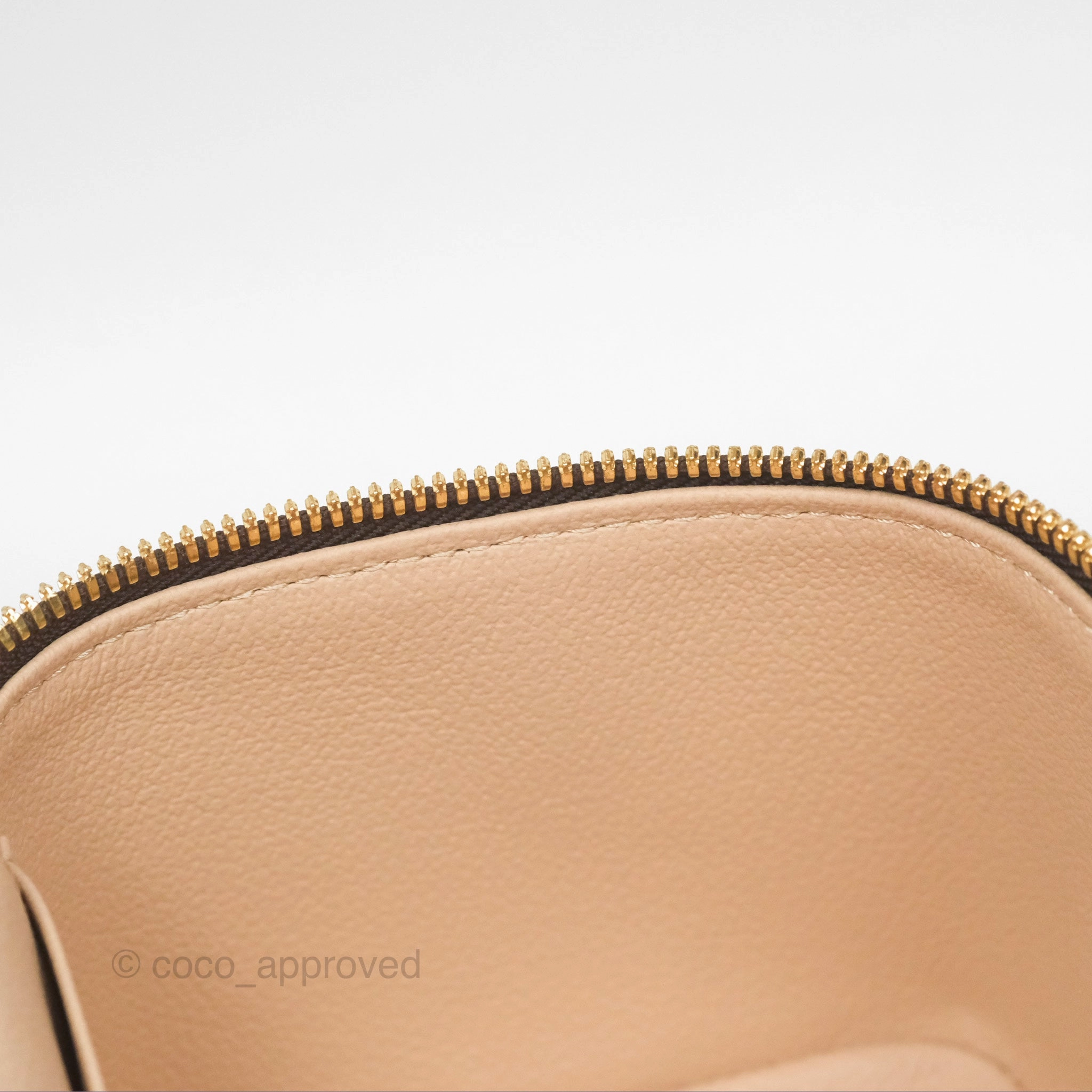 Louis Vuitton Monogram Nice Mini
