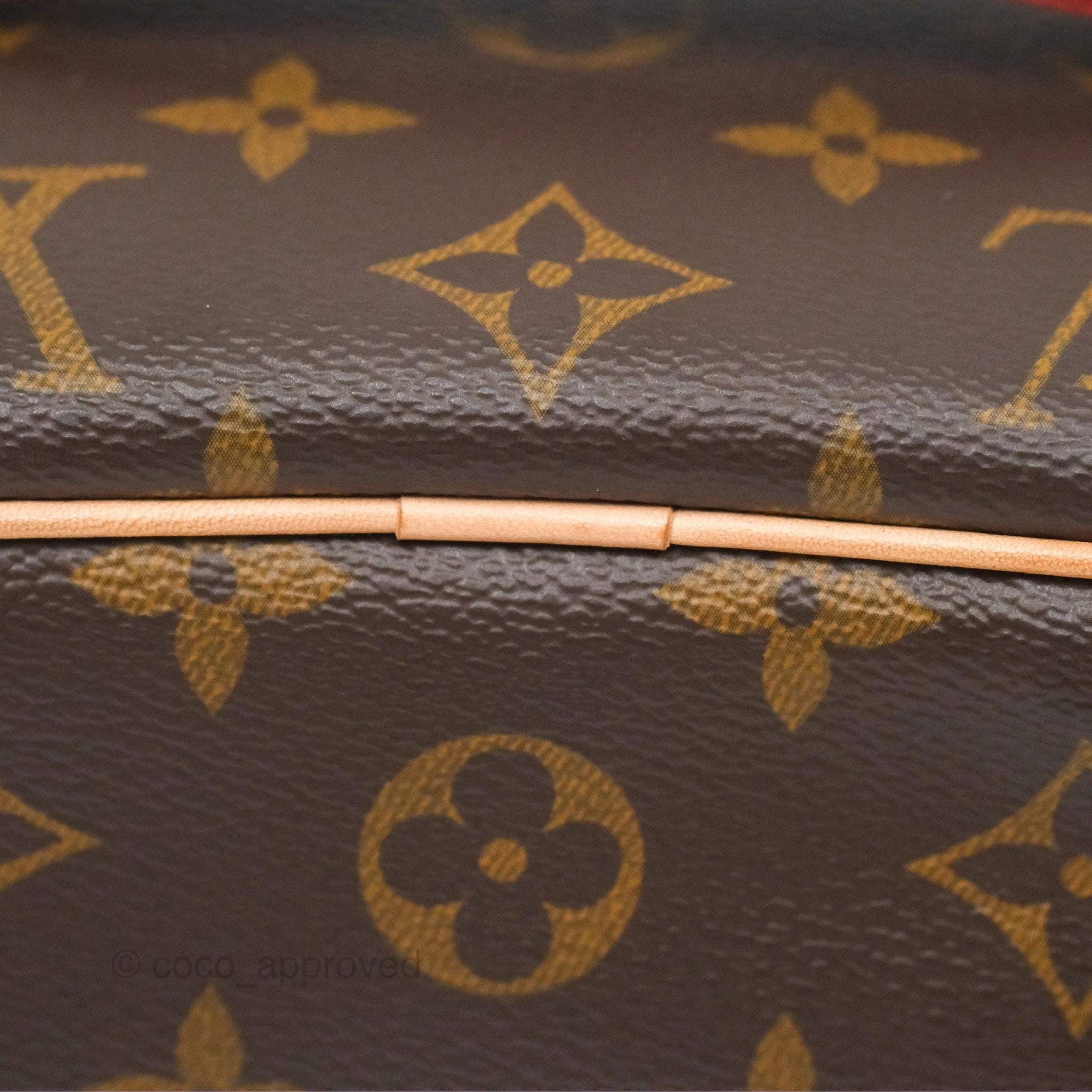 Louis Vuitton Monogram Nice Mini