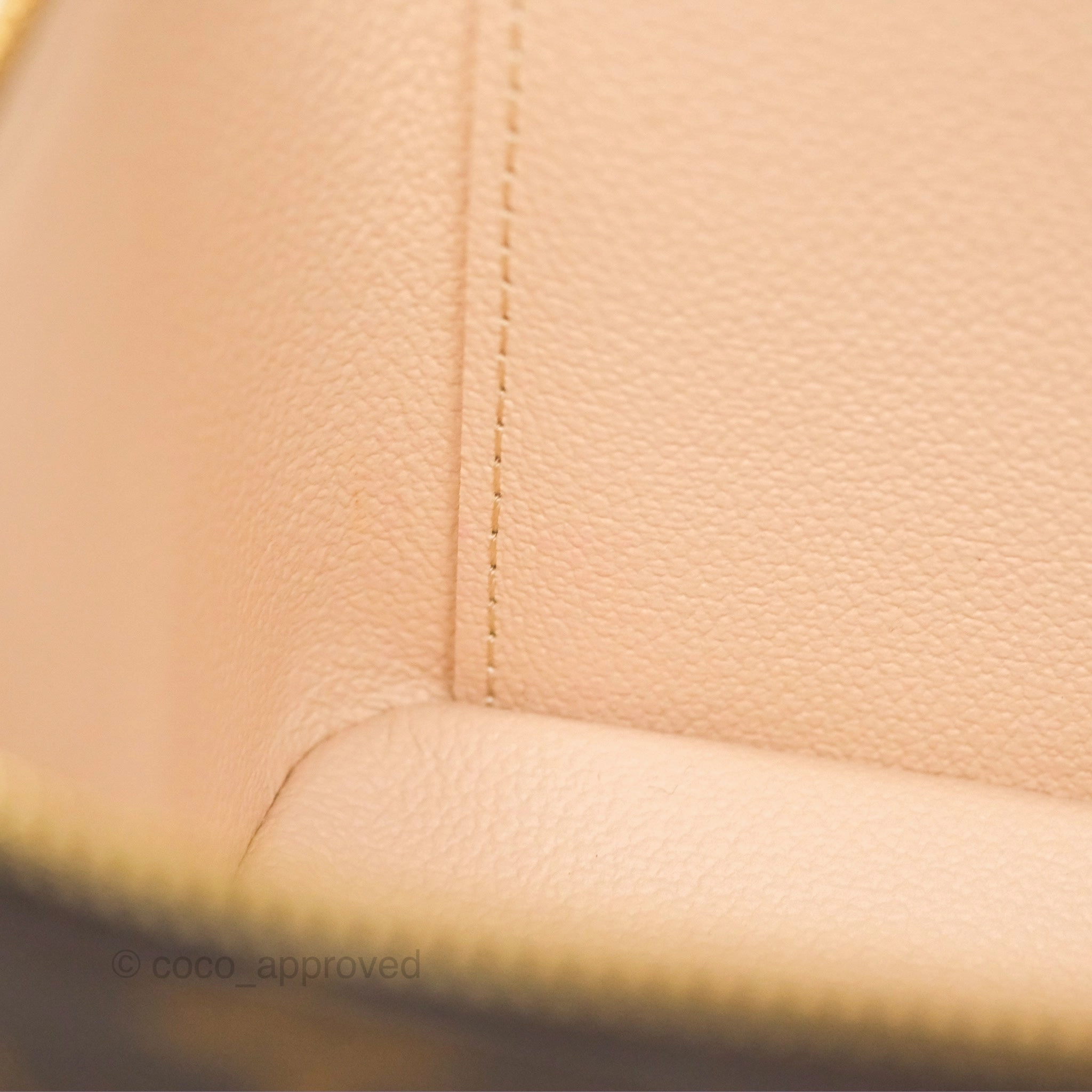 Louis Vuitton Monogram Nice Mini