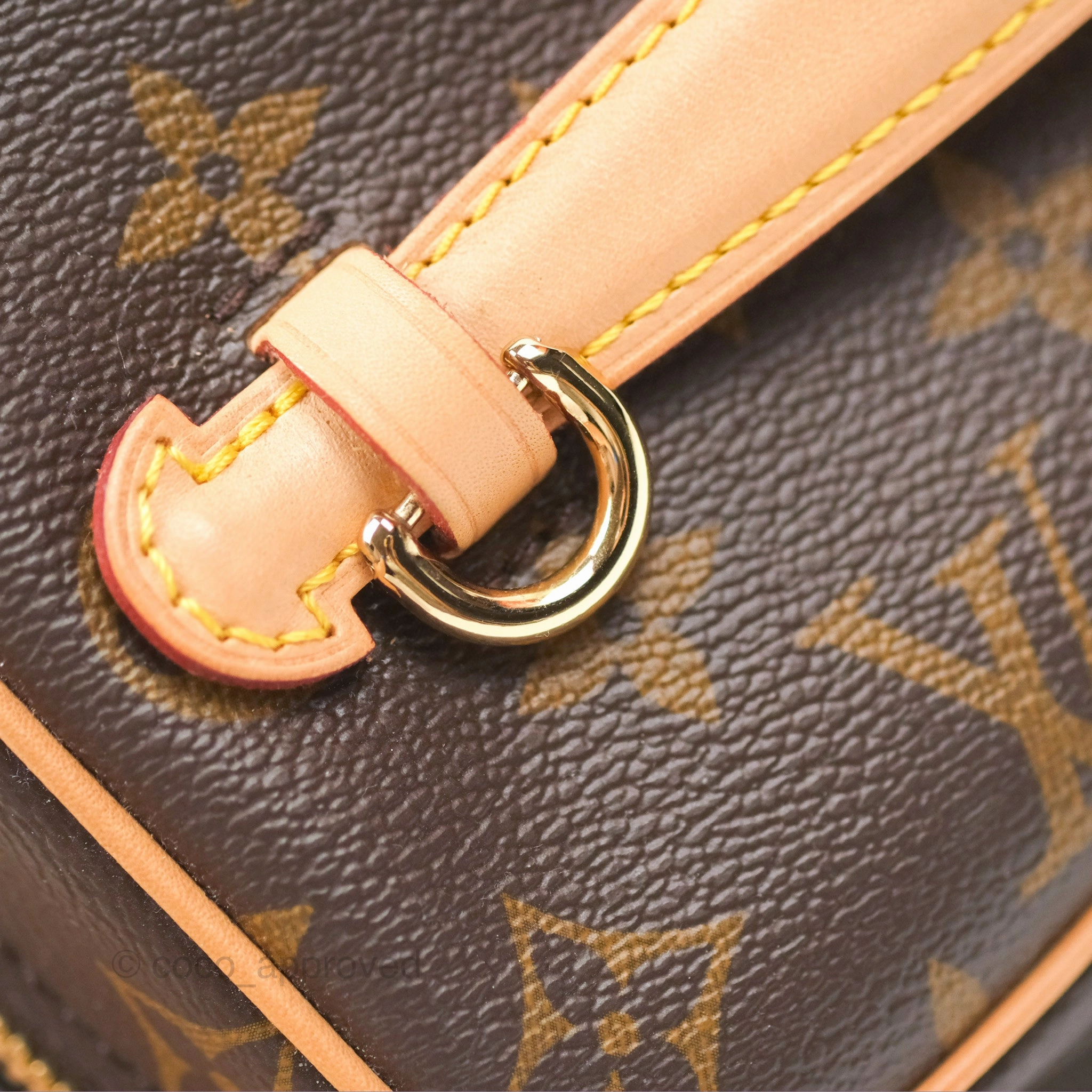 Louis Vuitton Monogram Nice Mini