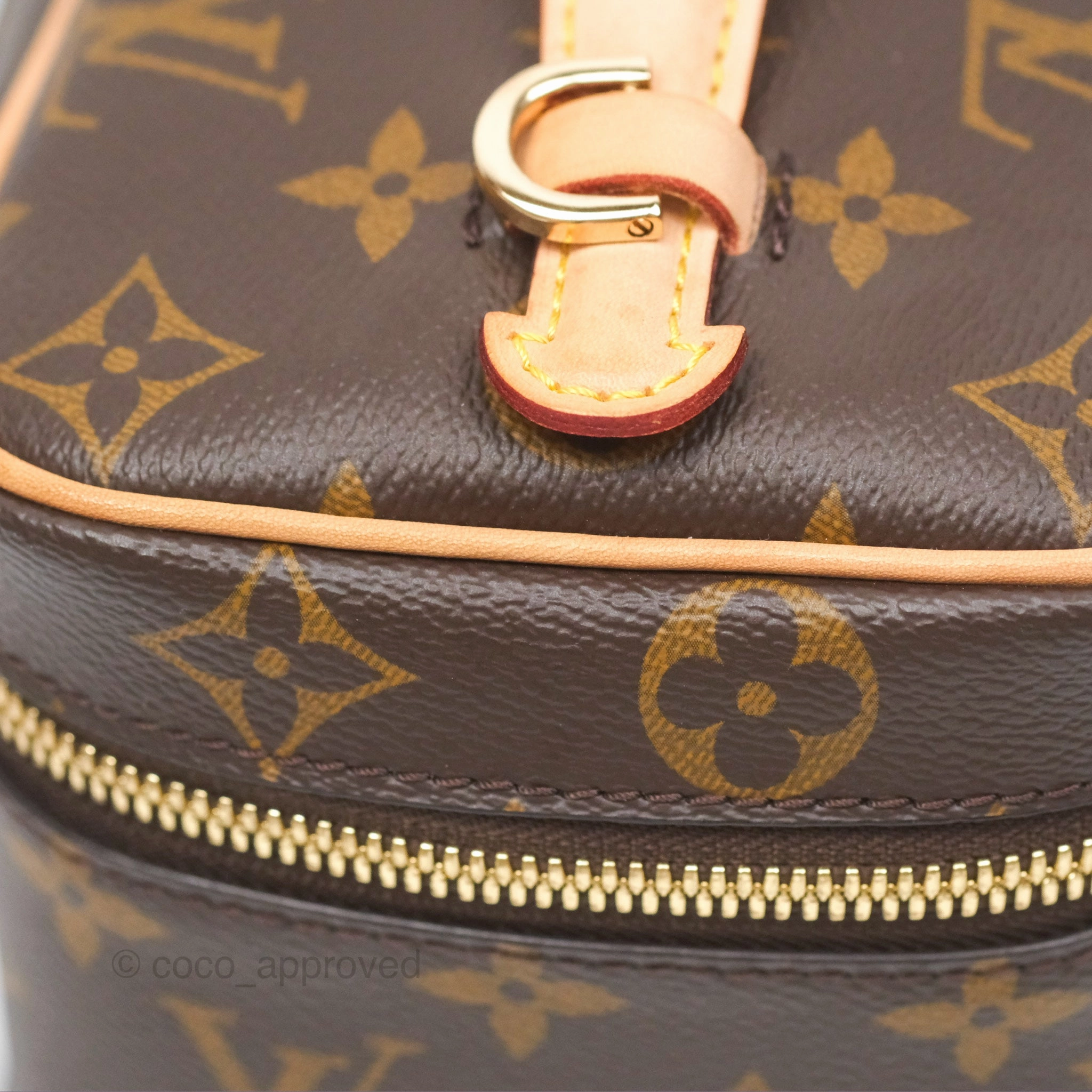 Louis Vuitton Monogram Nice Mini
