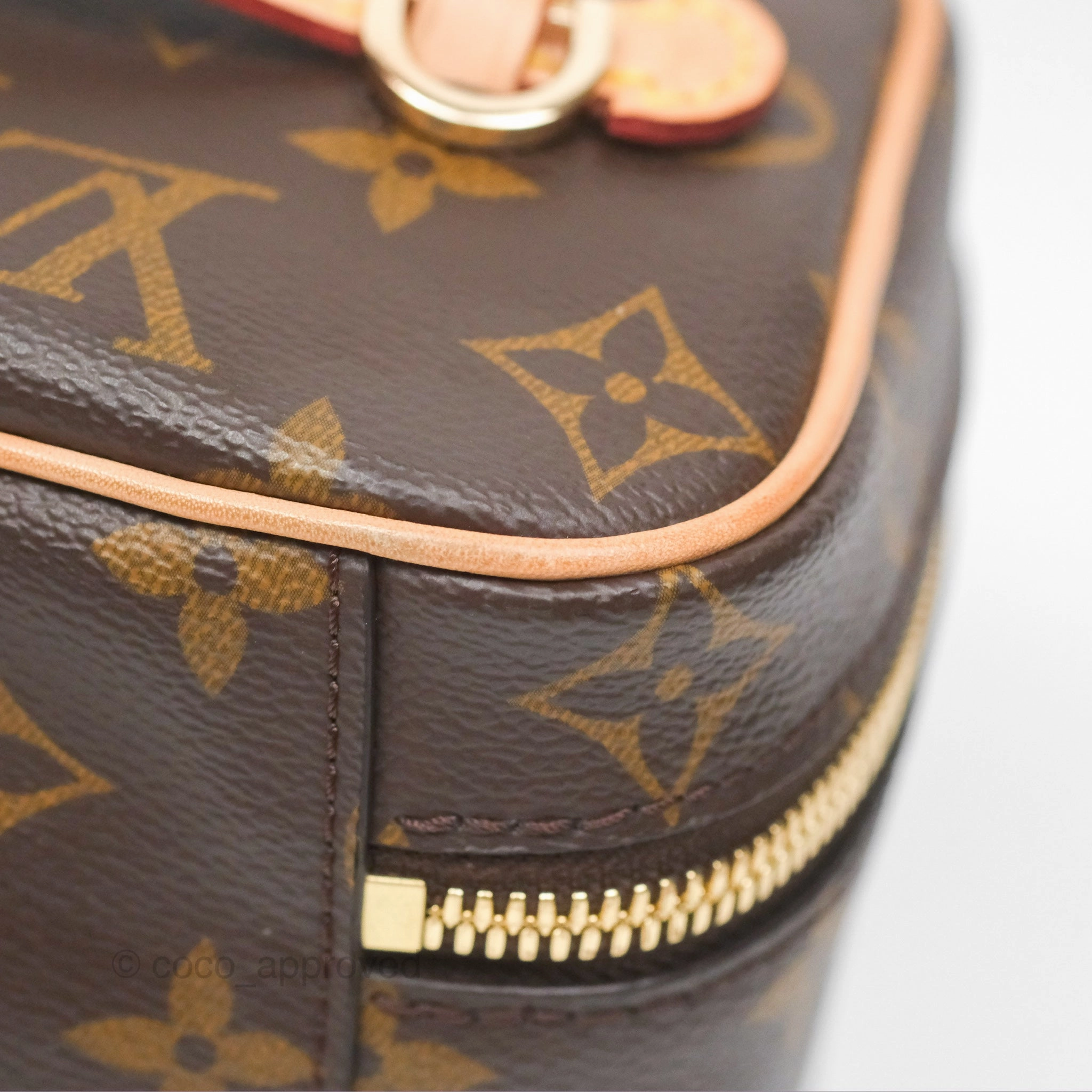 Louis Vuitton Monogram Nice Mini