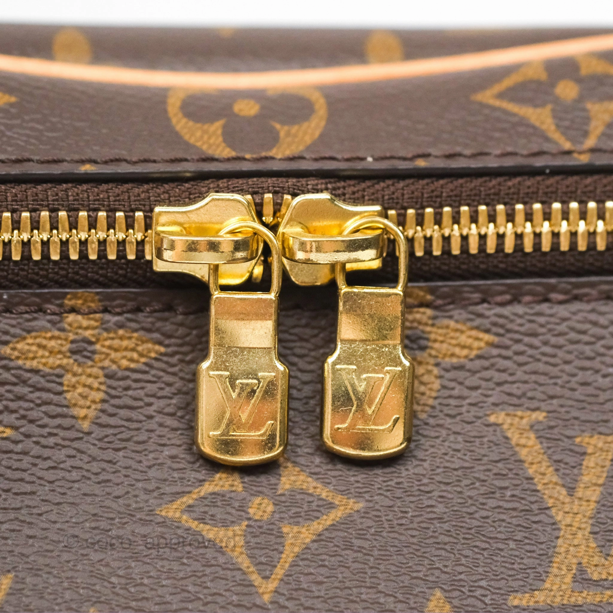 Louis Vuitton Monogram Nice Mini