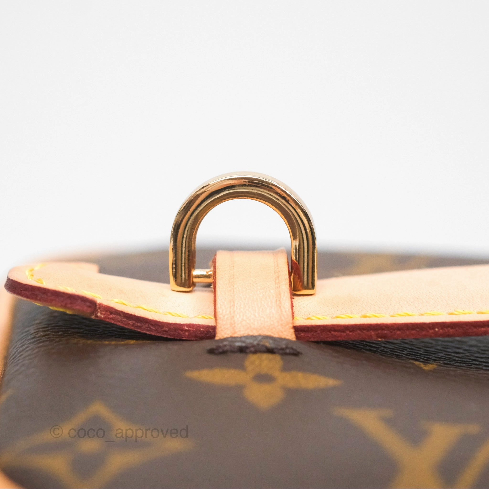 Louis Vuitton Monogram Nice Mini