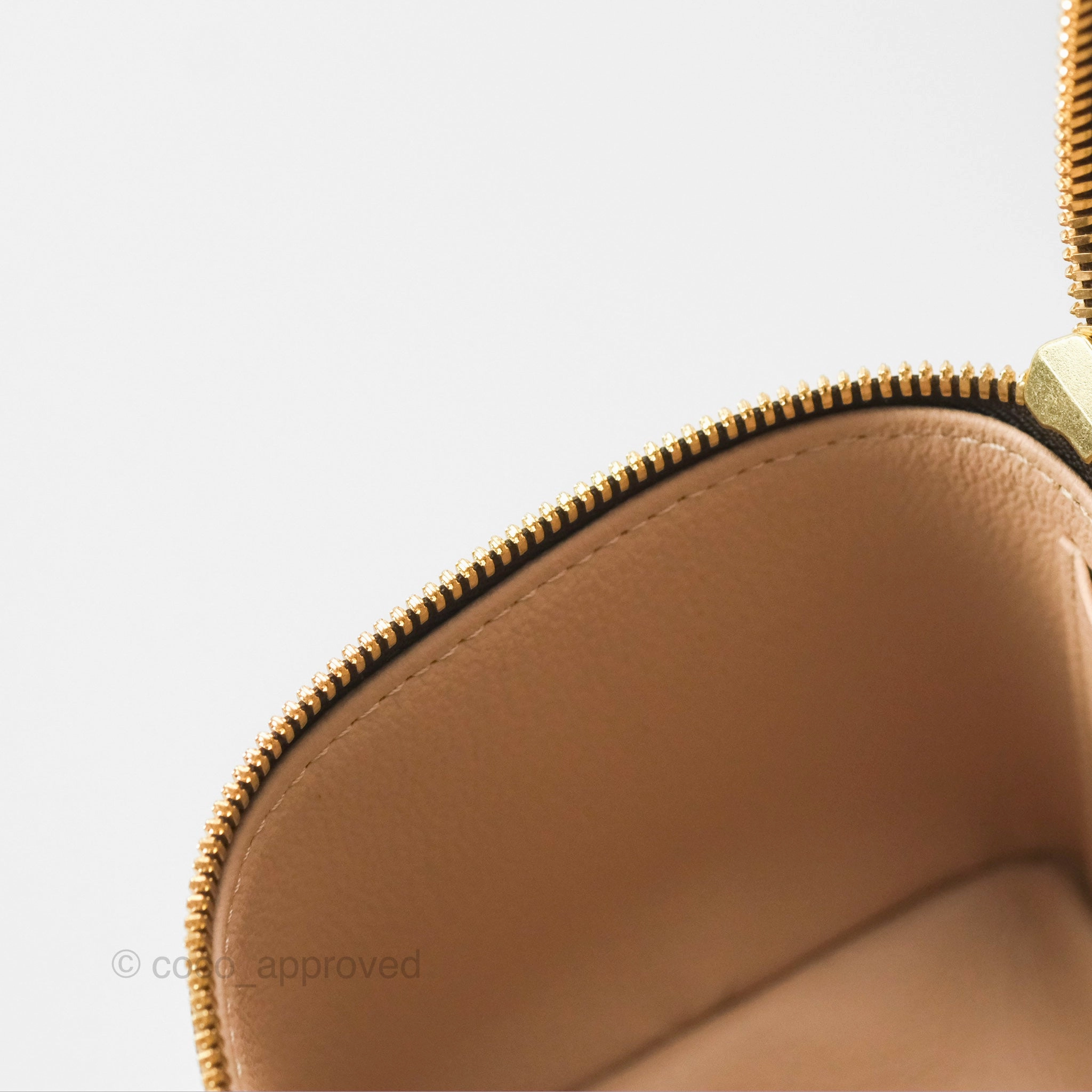 Louis Vuitton Monogram Nice Mini