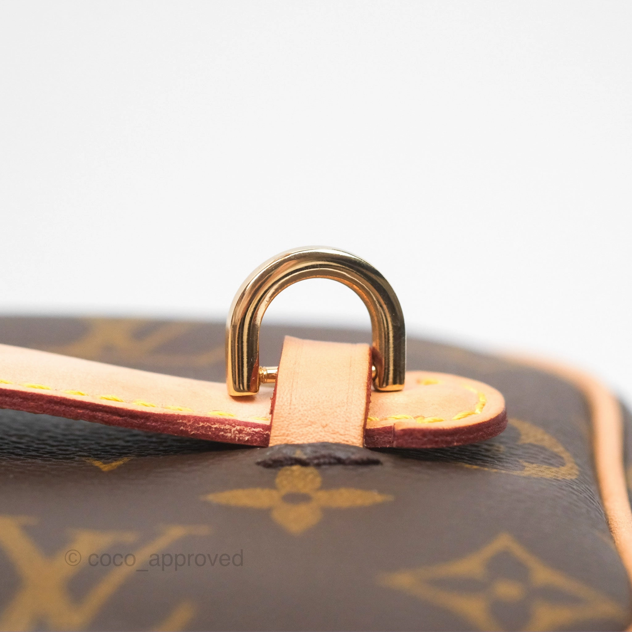 Louis Vuitton Monogram Nice Mini