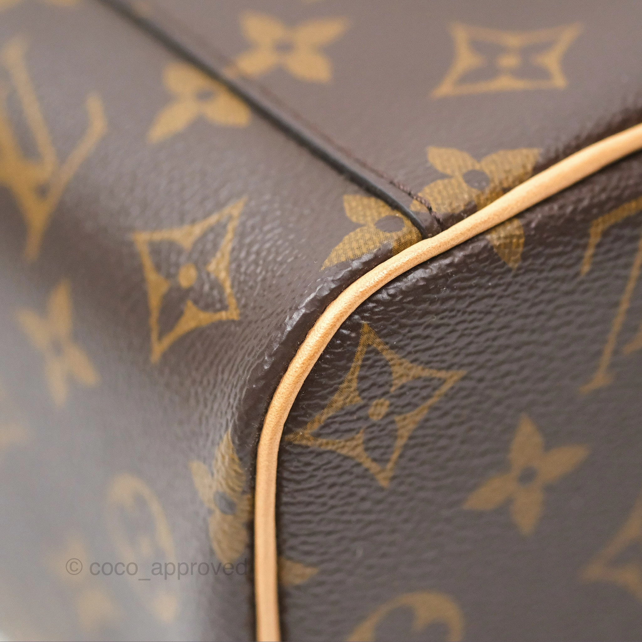 Louis Vuitton Monogram Nice Mini