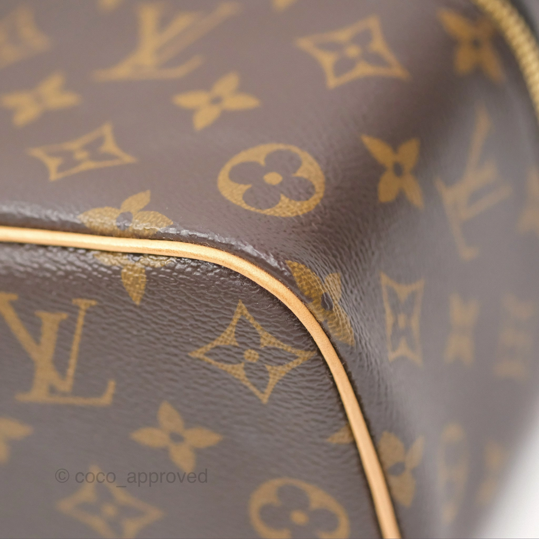 Louis Vuitton Monogram Nice Mini