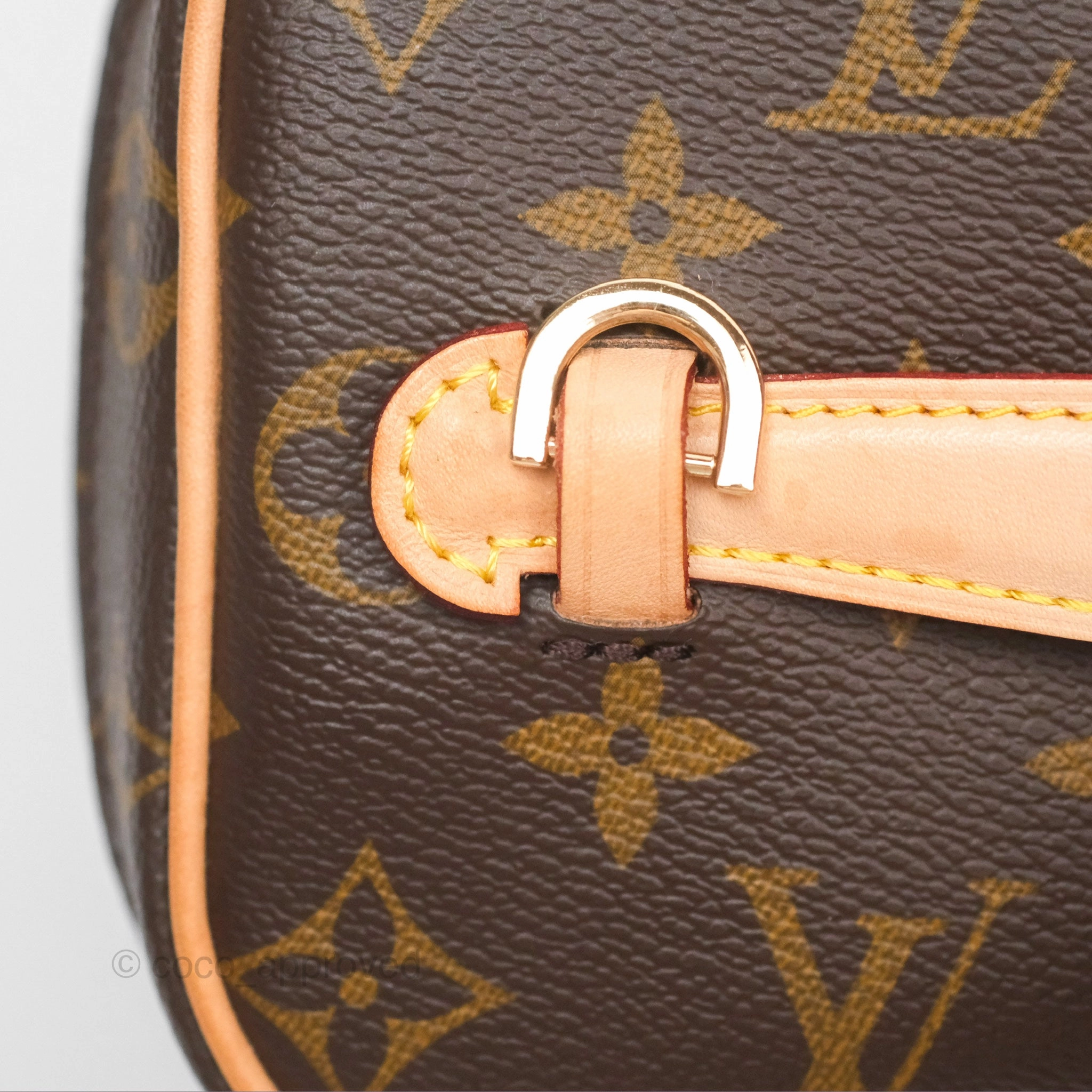 Louis Vuitton Monogram Nice Mini