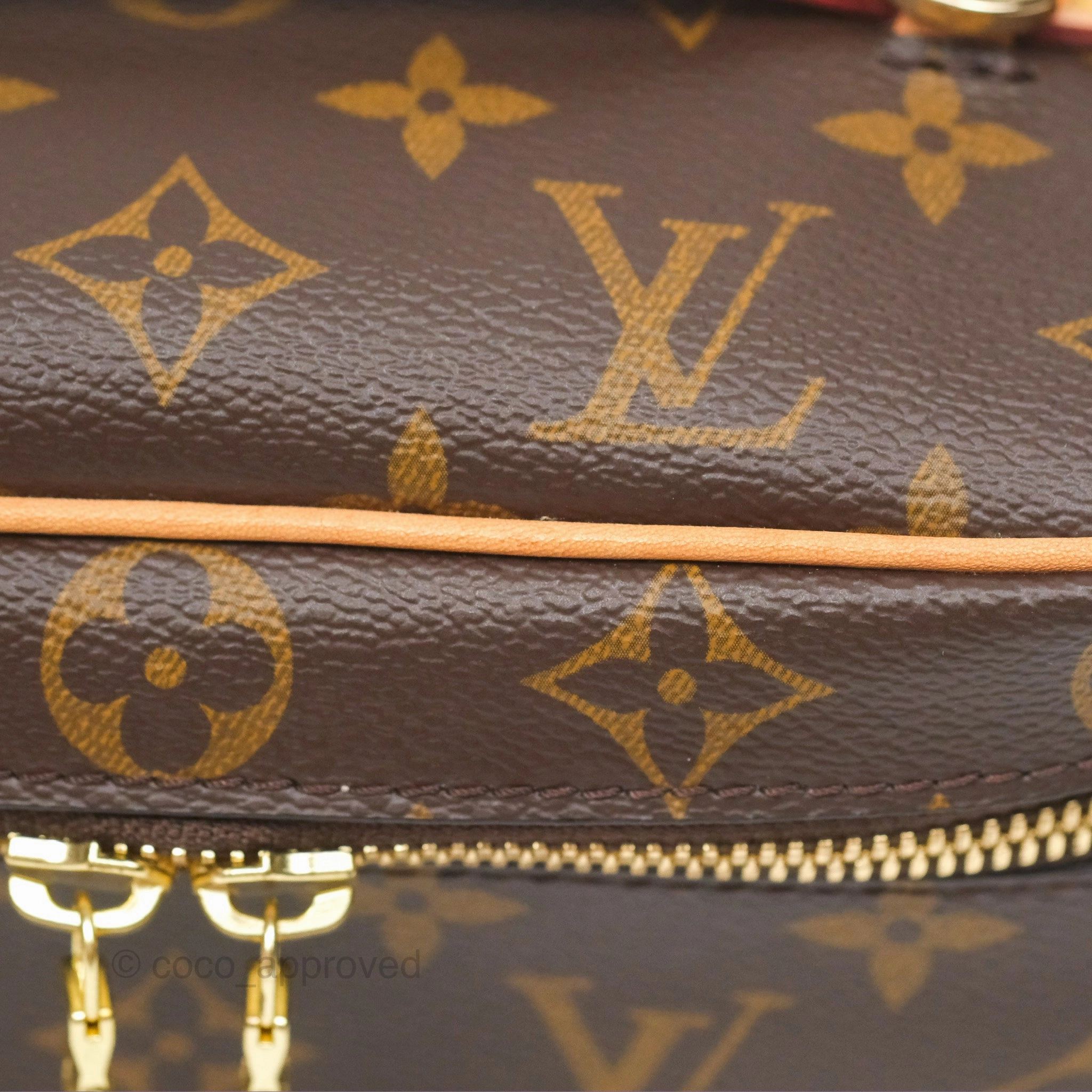 Louis Vuitton Monogram Nice Mini