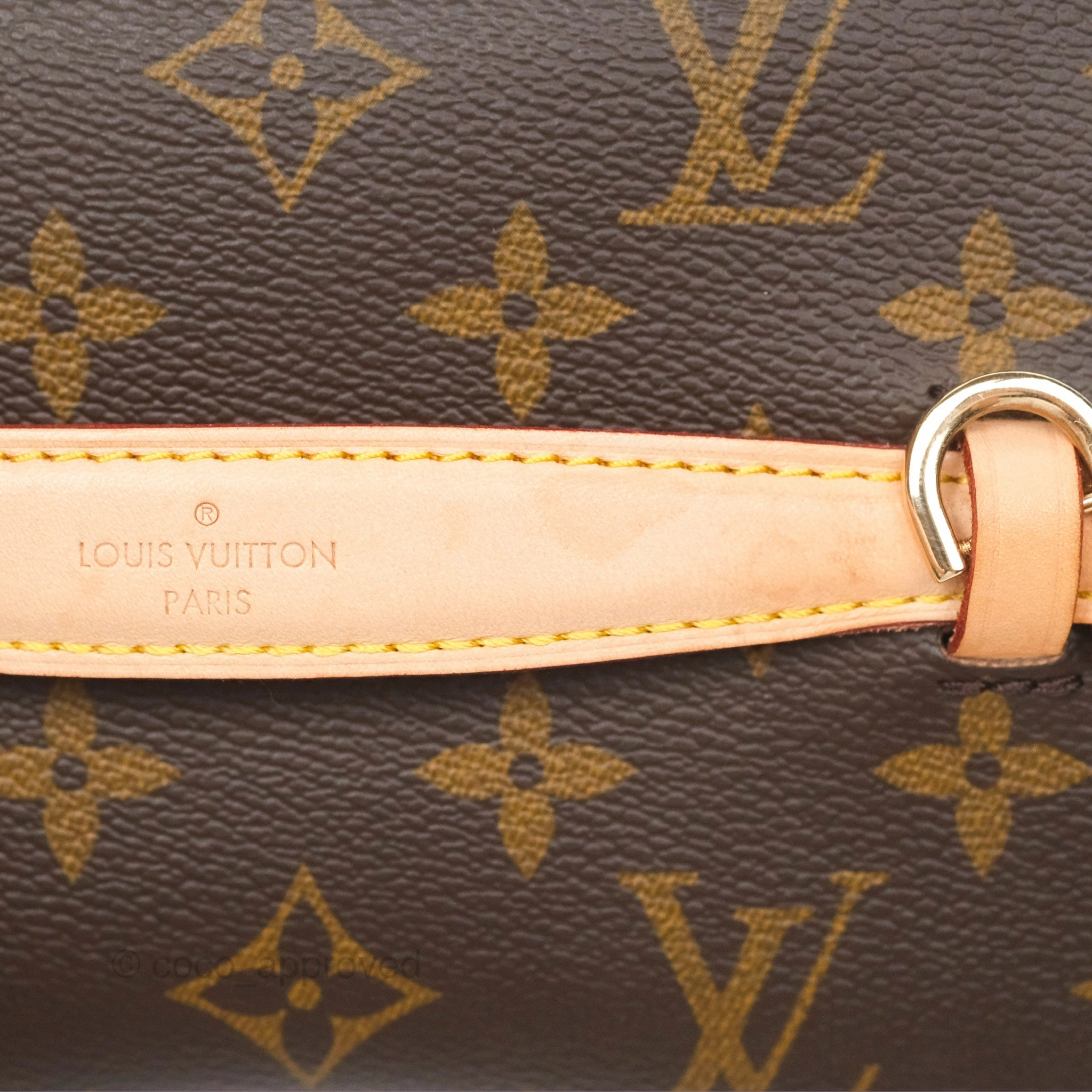 Louis Vuitton Monogram Nice Mini