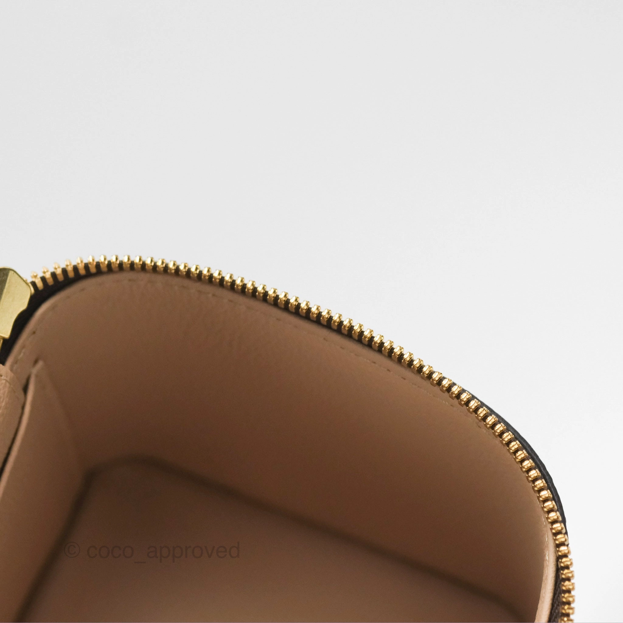 Louis Vuitton Monogram Nice Mini