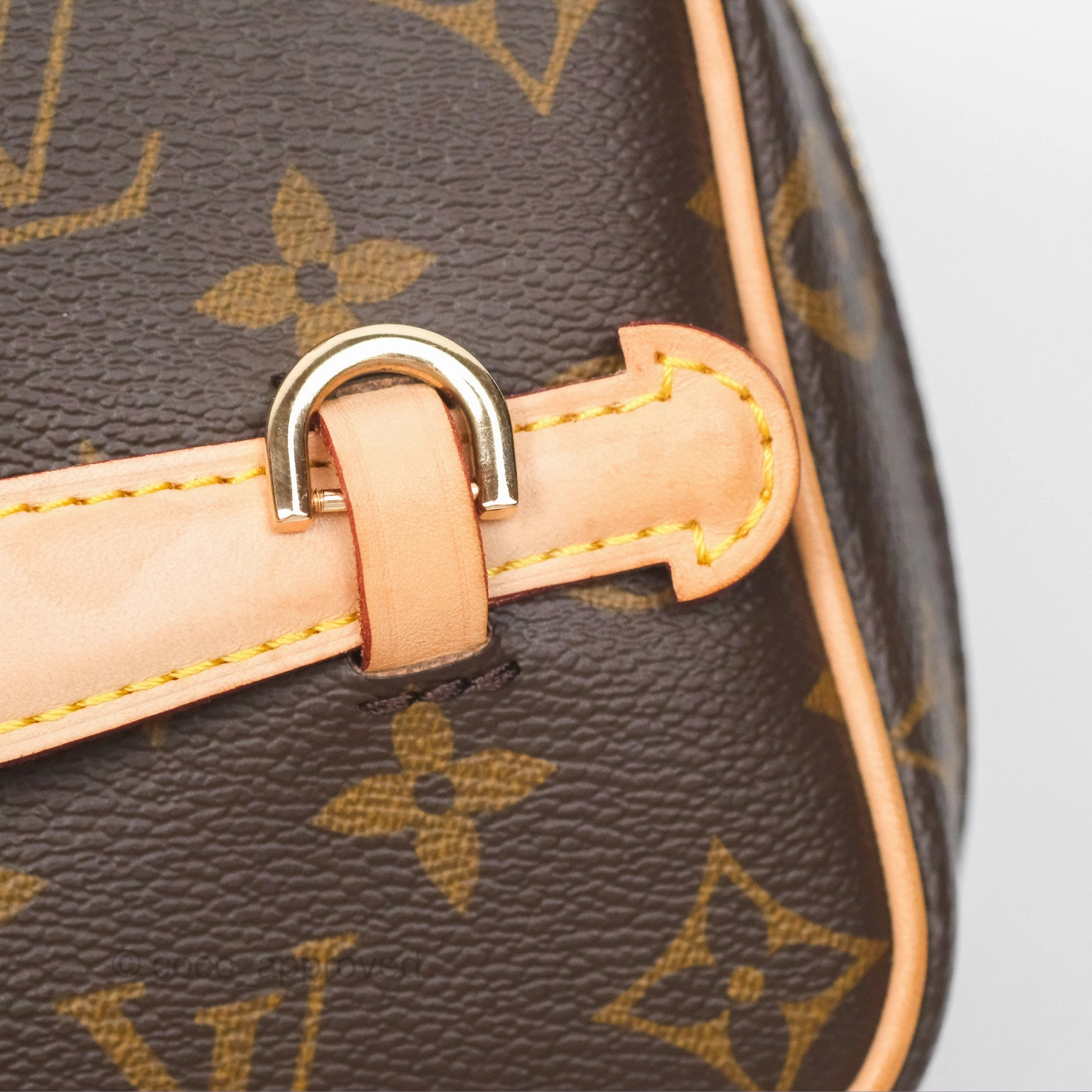 Louis Vuitton Monogram Nice Mini