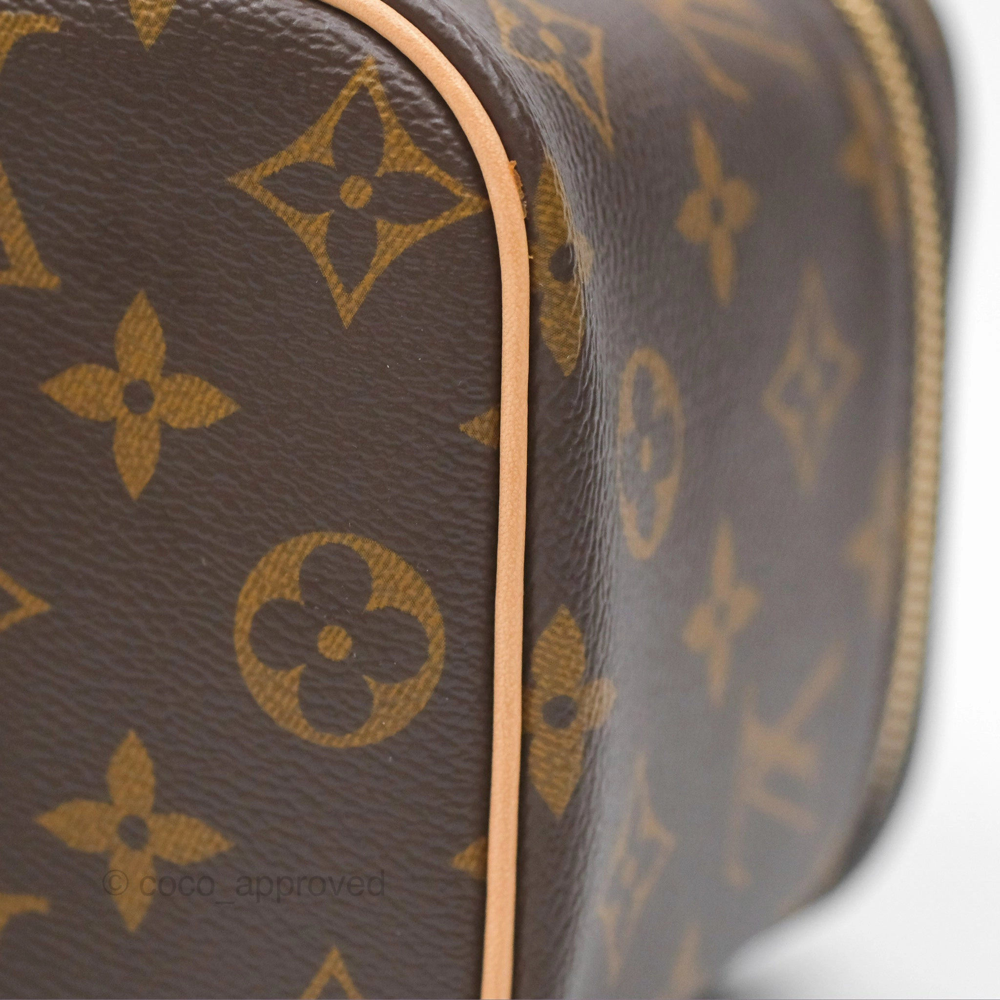 Louis Vuitton Monogram Nice Mini