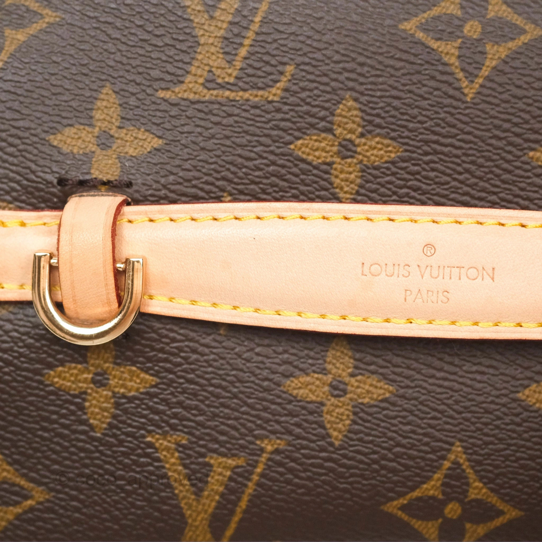 Louis Vuitton Monogram Nice Mini