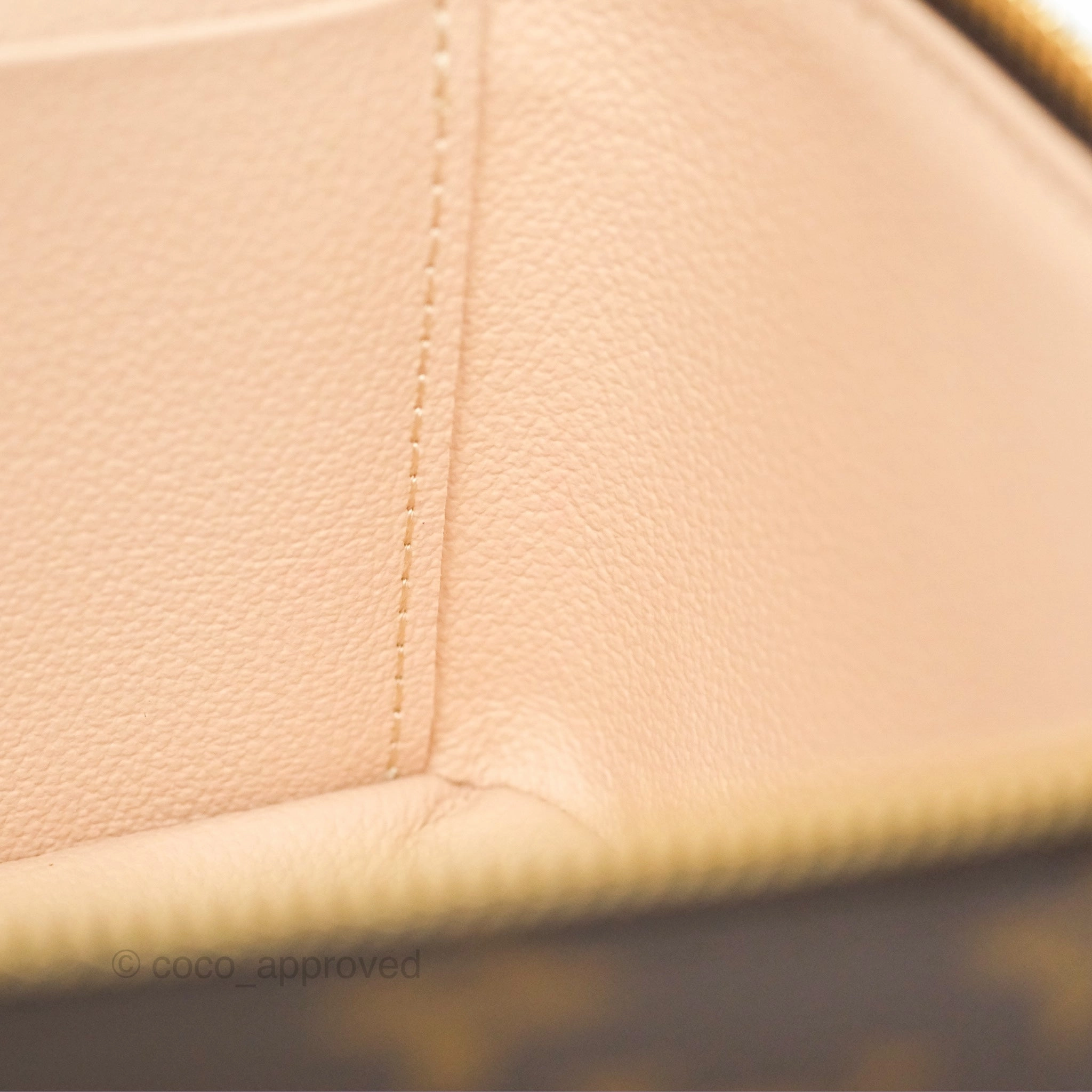 Louis Vuitton Monogram Nice Mini