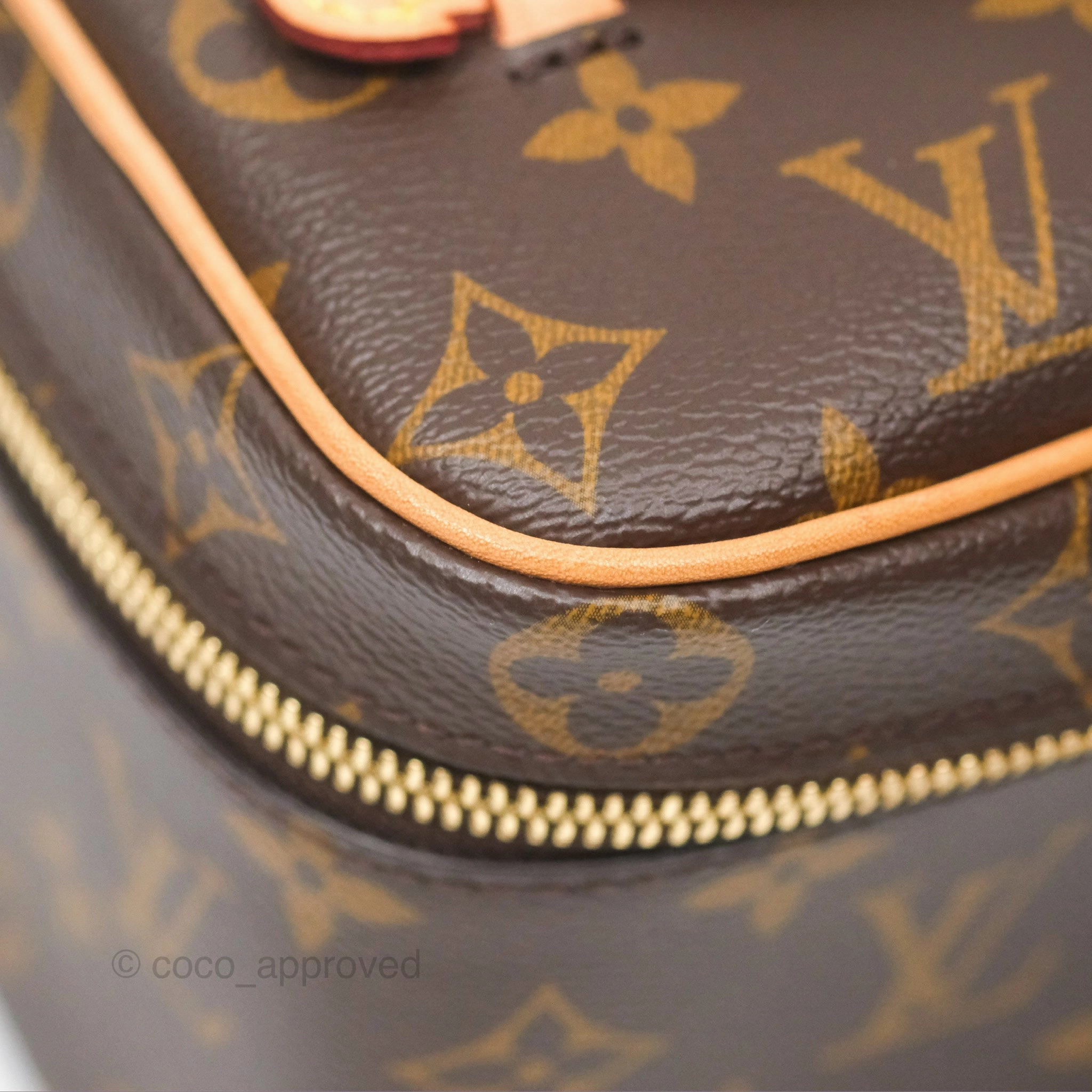 Louis Vuitton Monogram Nice Mini