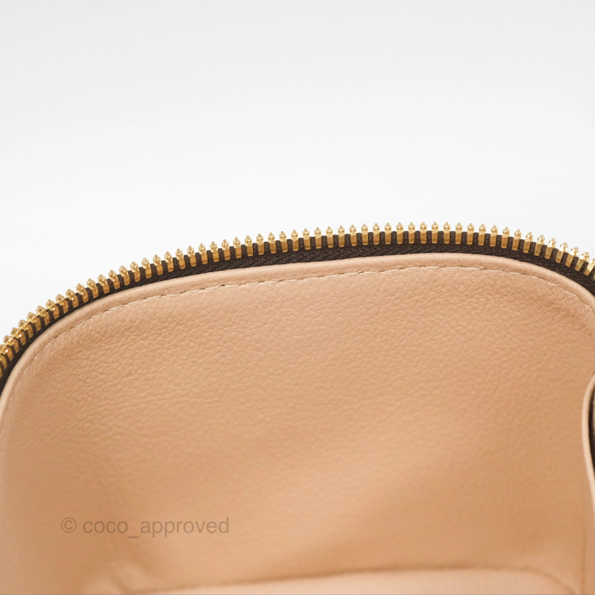 Louis Vuitton Monogram Nice Mini