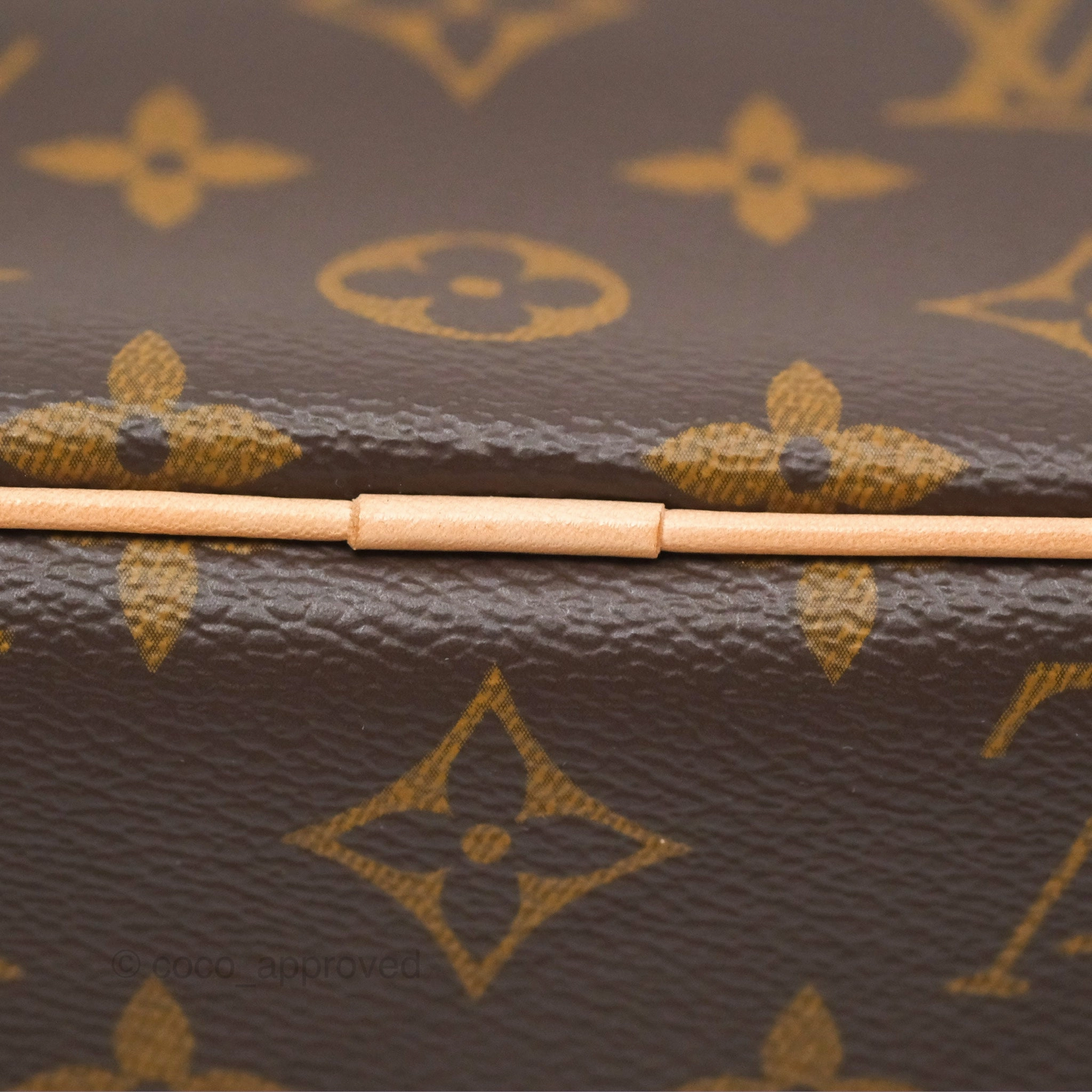 Louis Vuitton Monogram Nice Mini