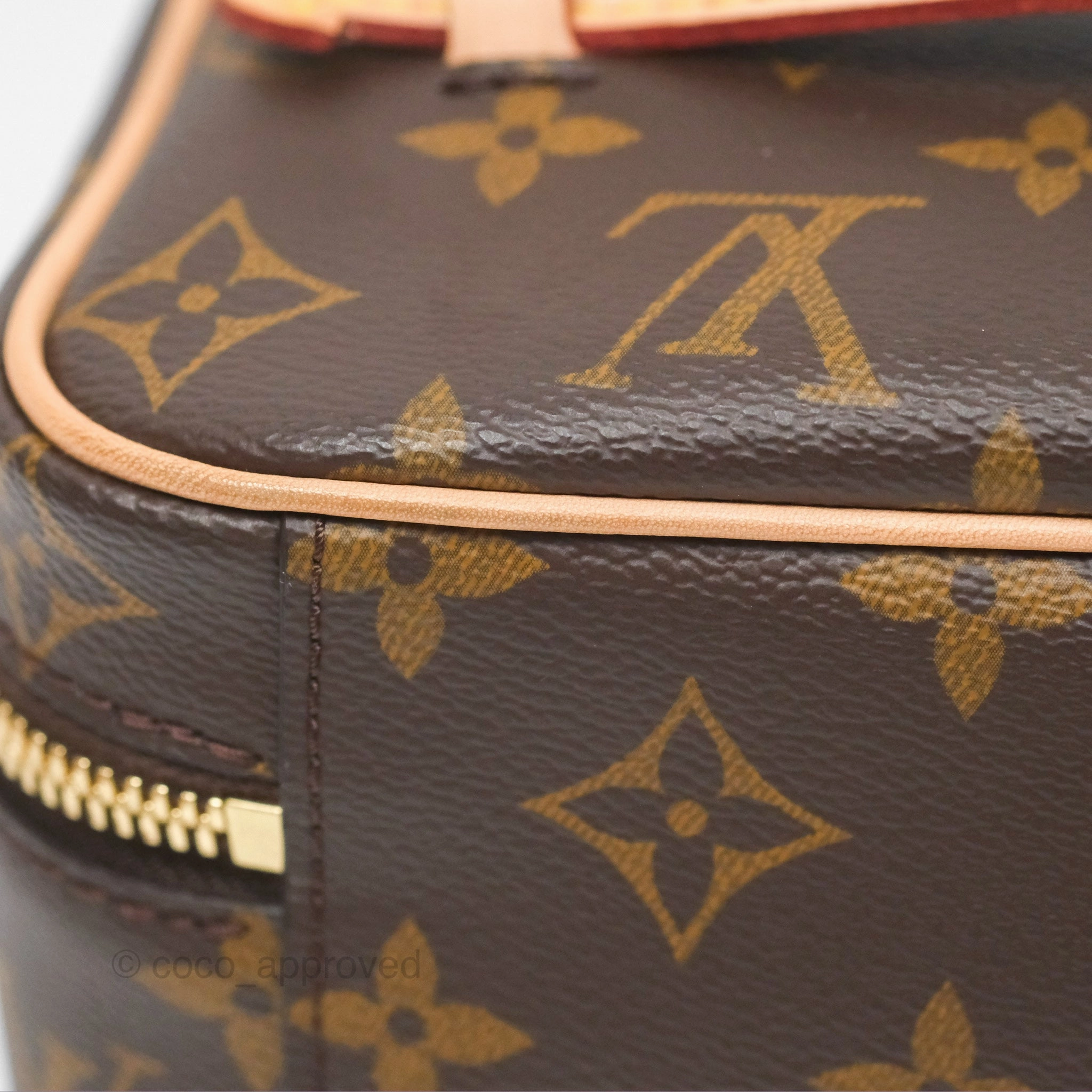Louis Vuitton Monogram Nice Mini
