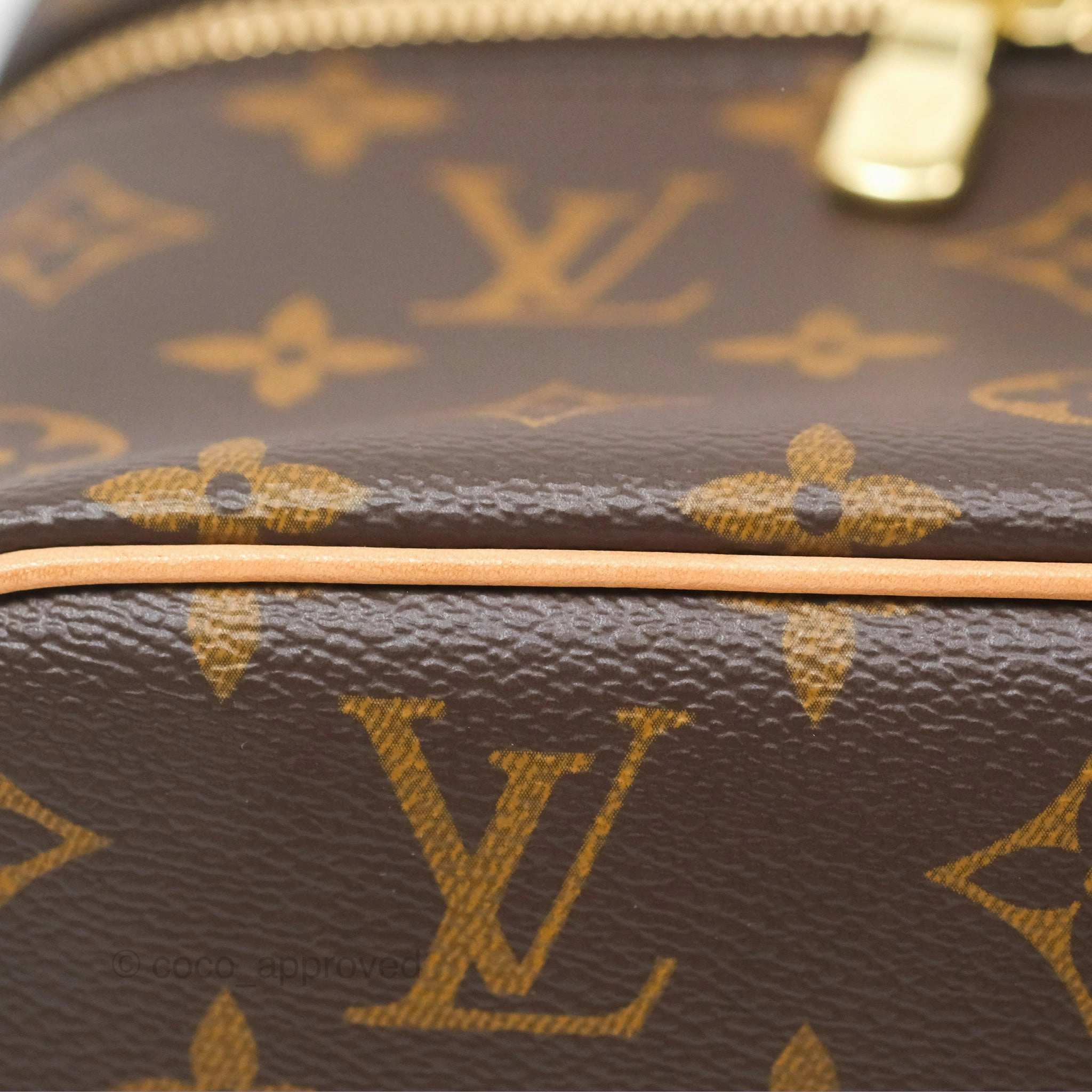 Louis Vuitton Monogram Nice Mini