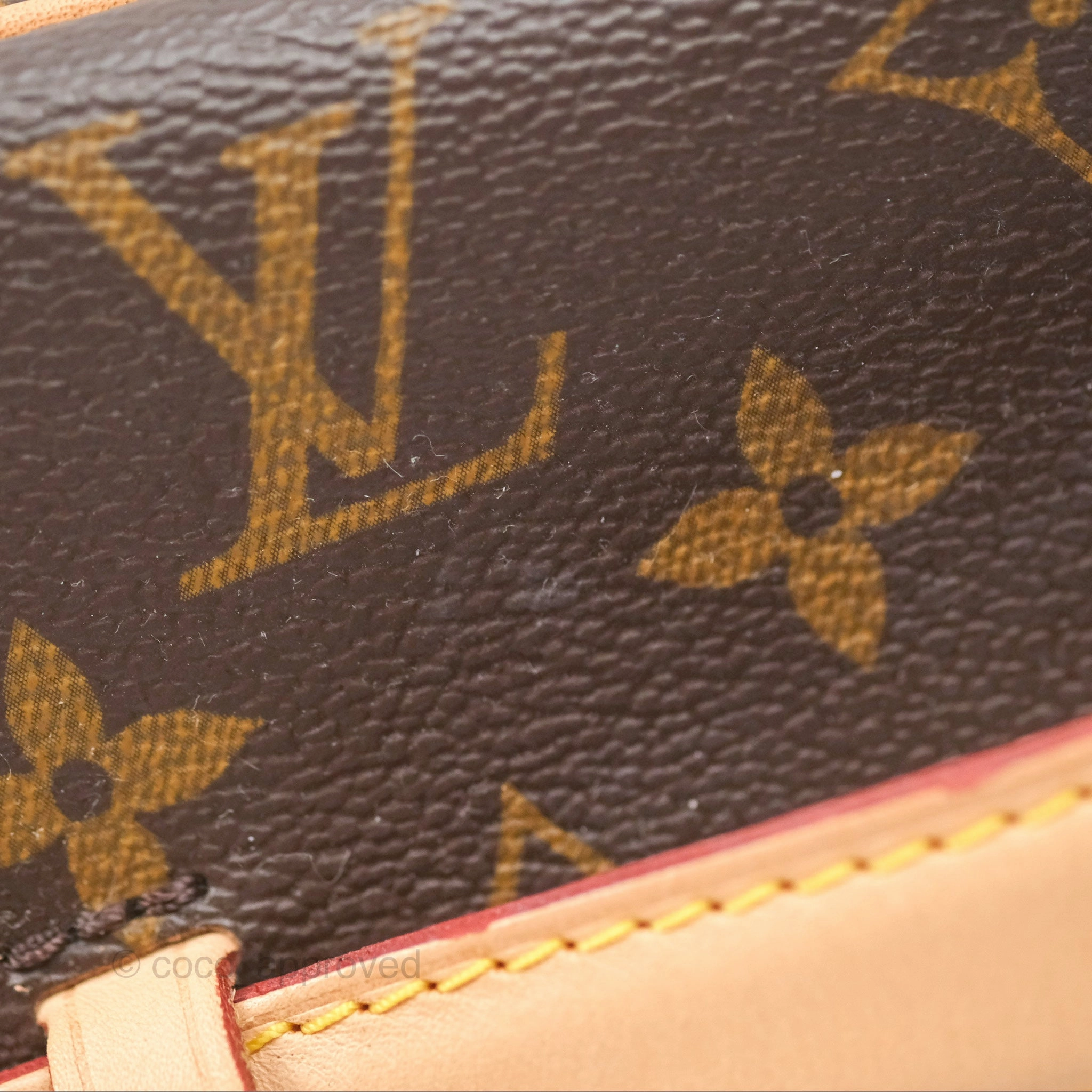 Louis Vuitton Monogram Nice Mini
