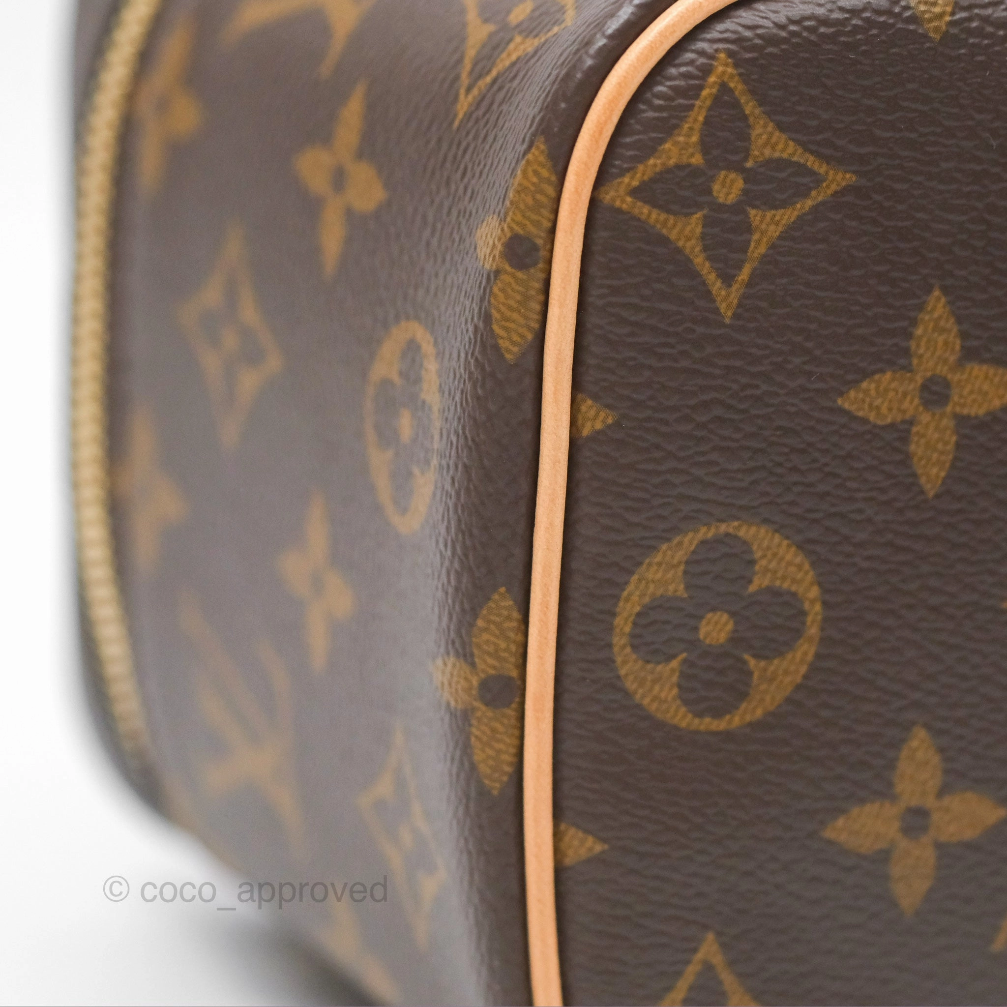 Louis Vuitton Monogram Nice Mini