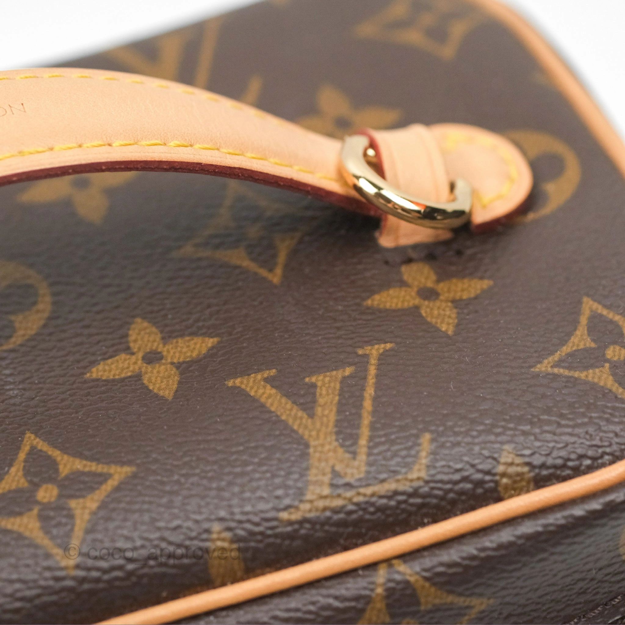 Louis Vuitton Monogram Nice Mini