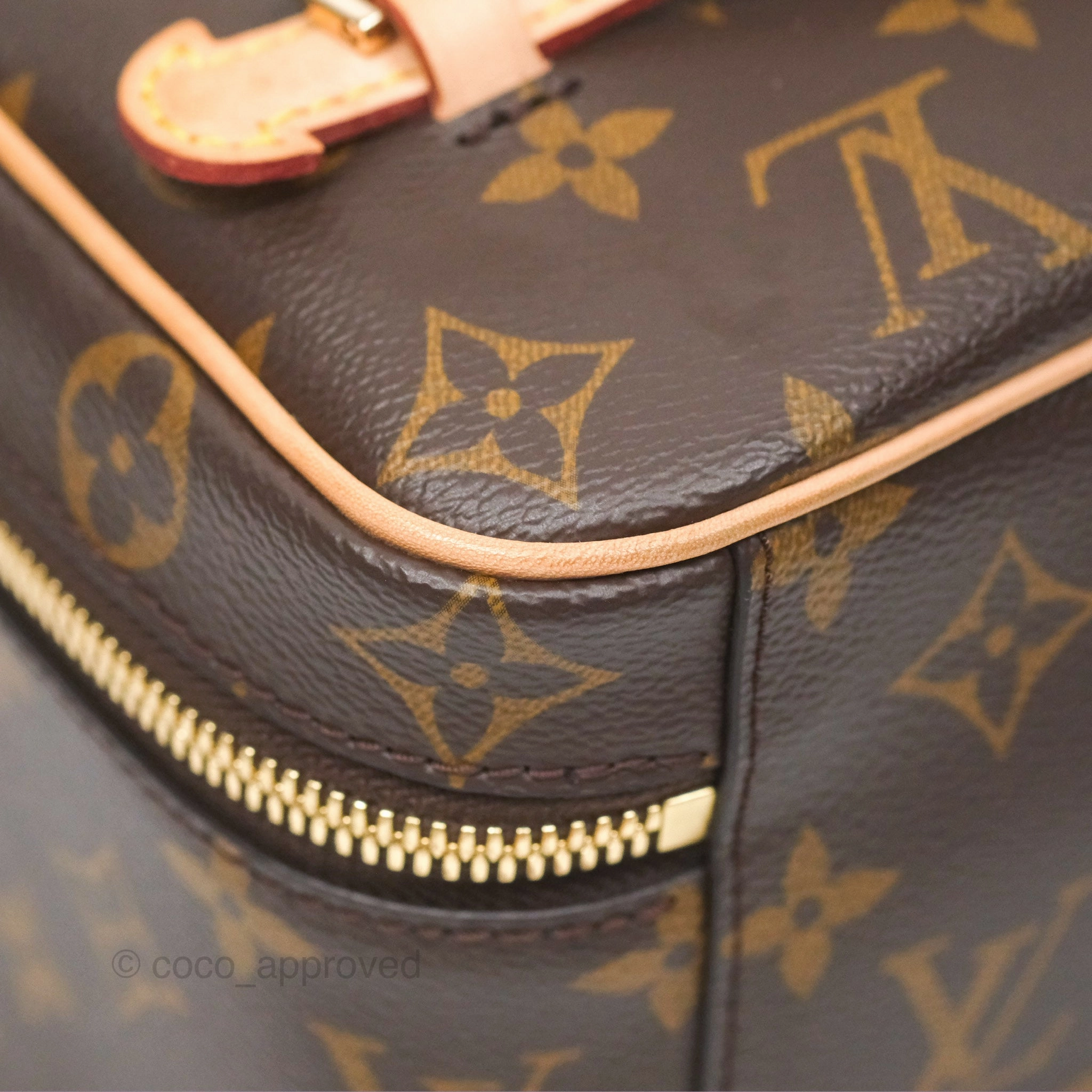 Louis Vuitton Monogram Nice Mini