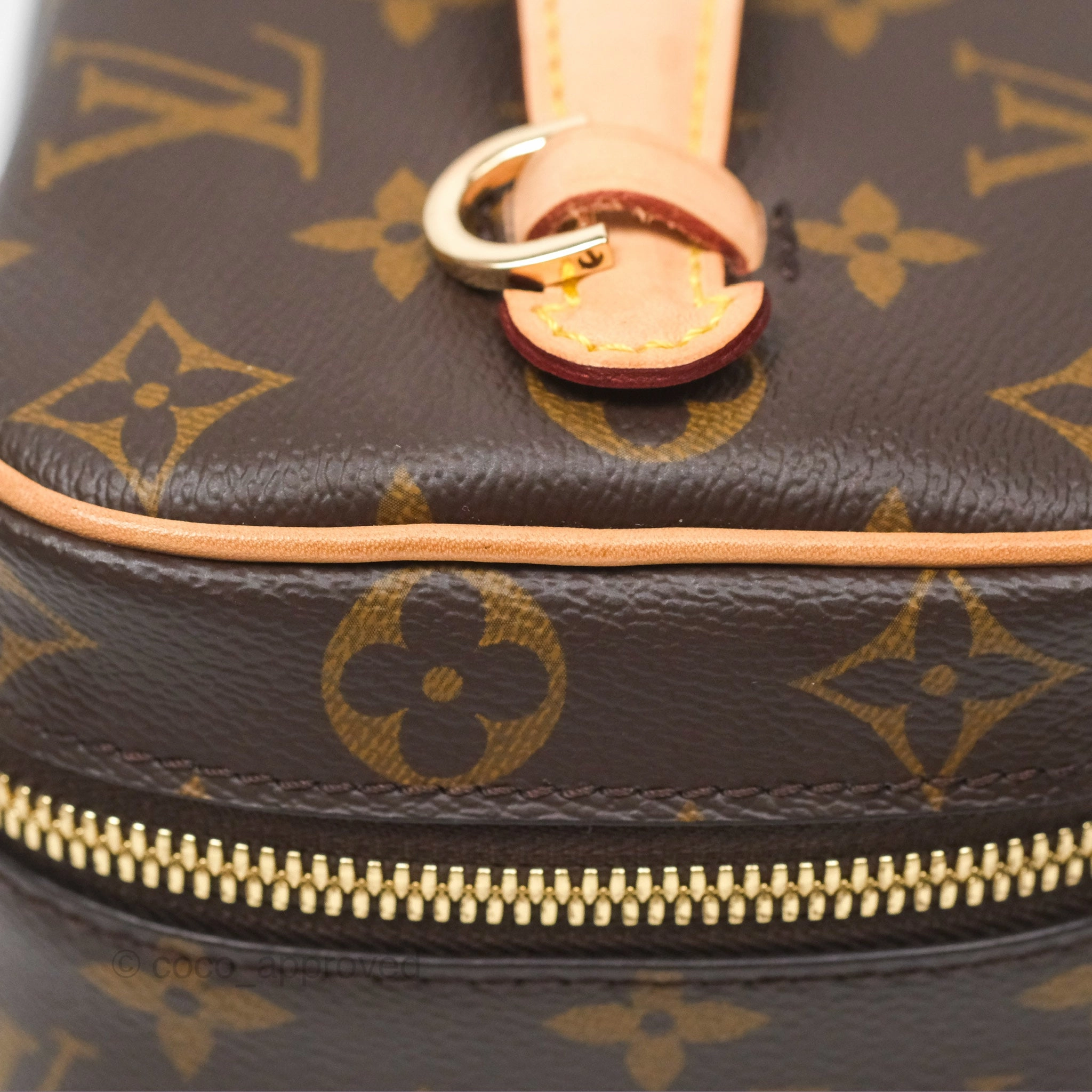 Louis Vuitton Monogram Nice Mini