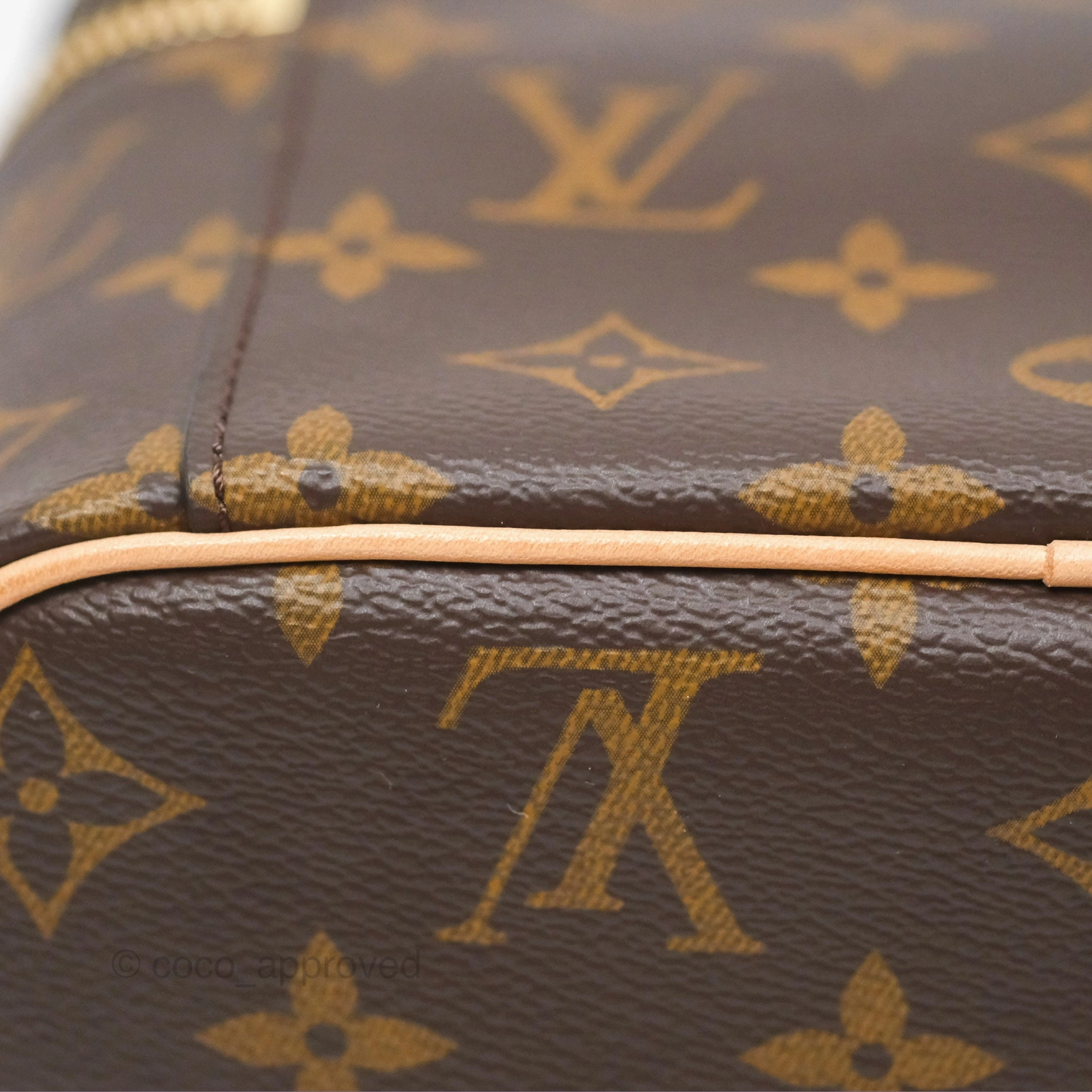 Louis Vuitton Monogram Nice Mini