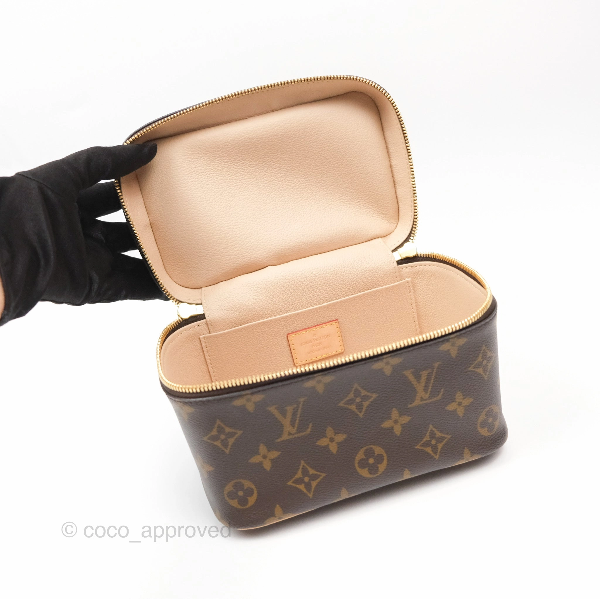 Louis Vuitton Monogram Nice Mini