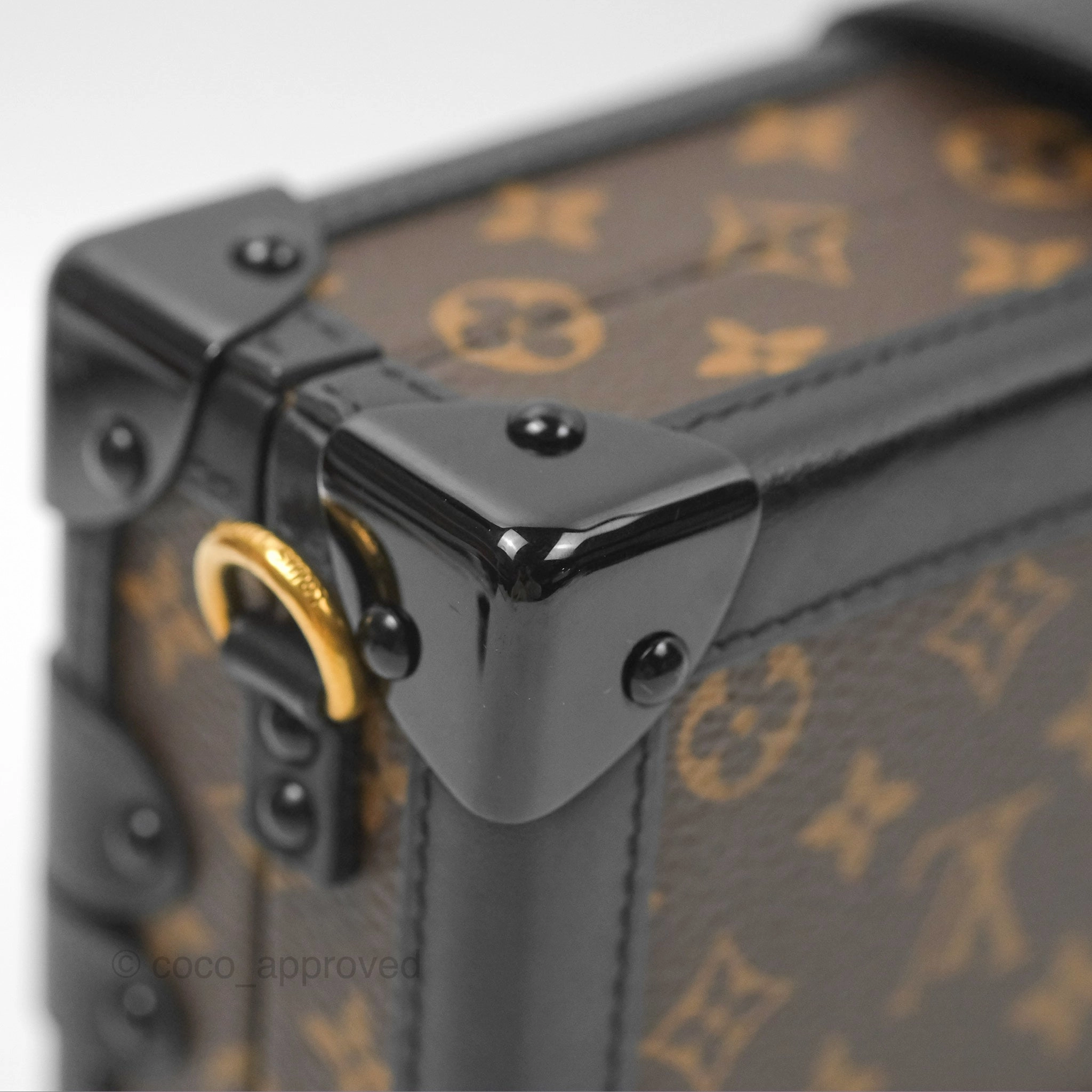 Louis Vuitton Monogram Petite Malle