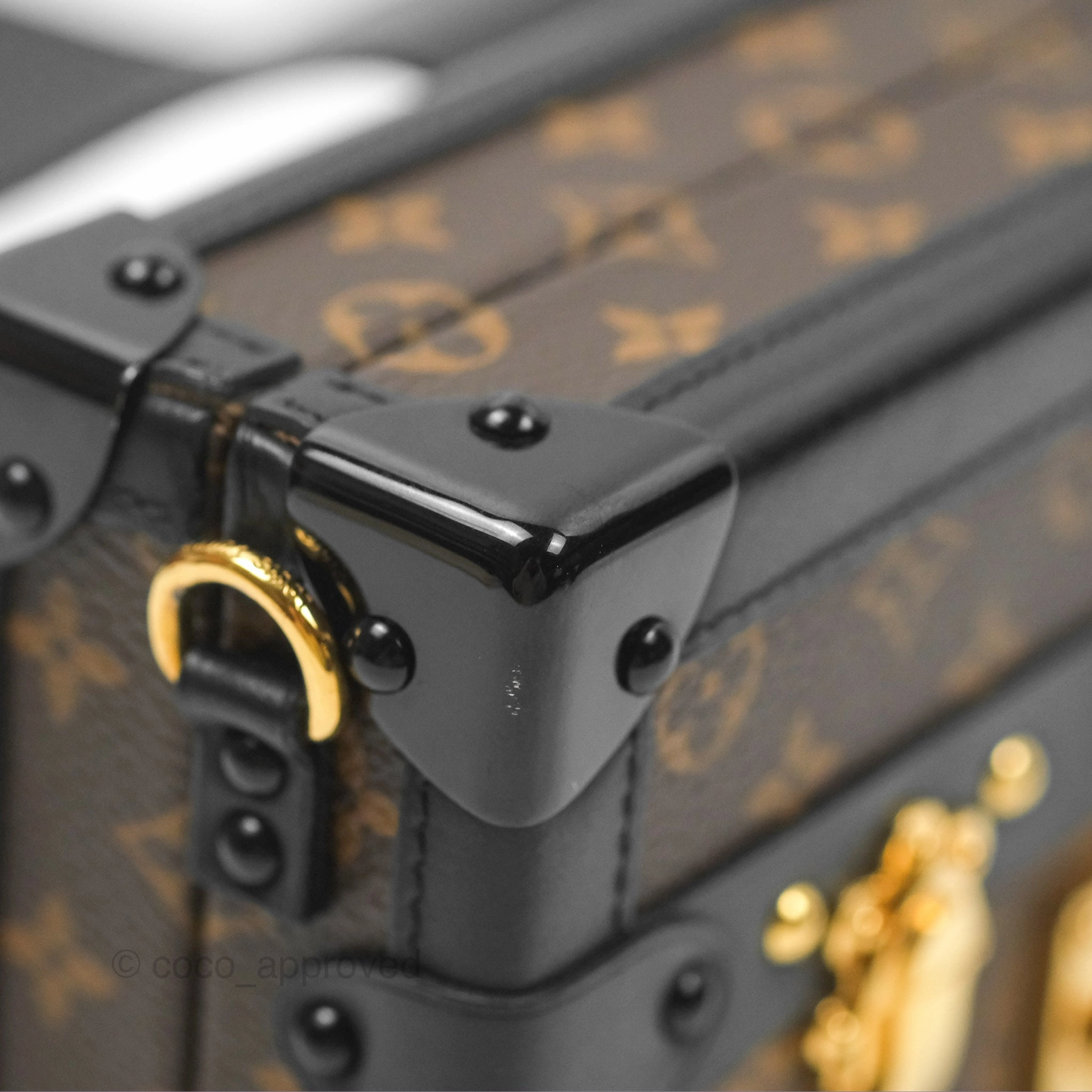 Louis Vuitton Monogram Petite Malle