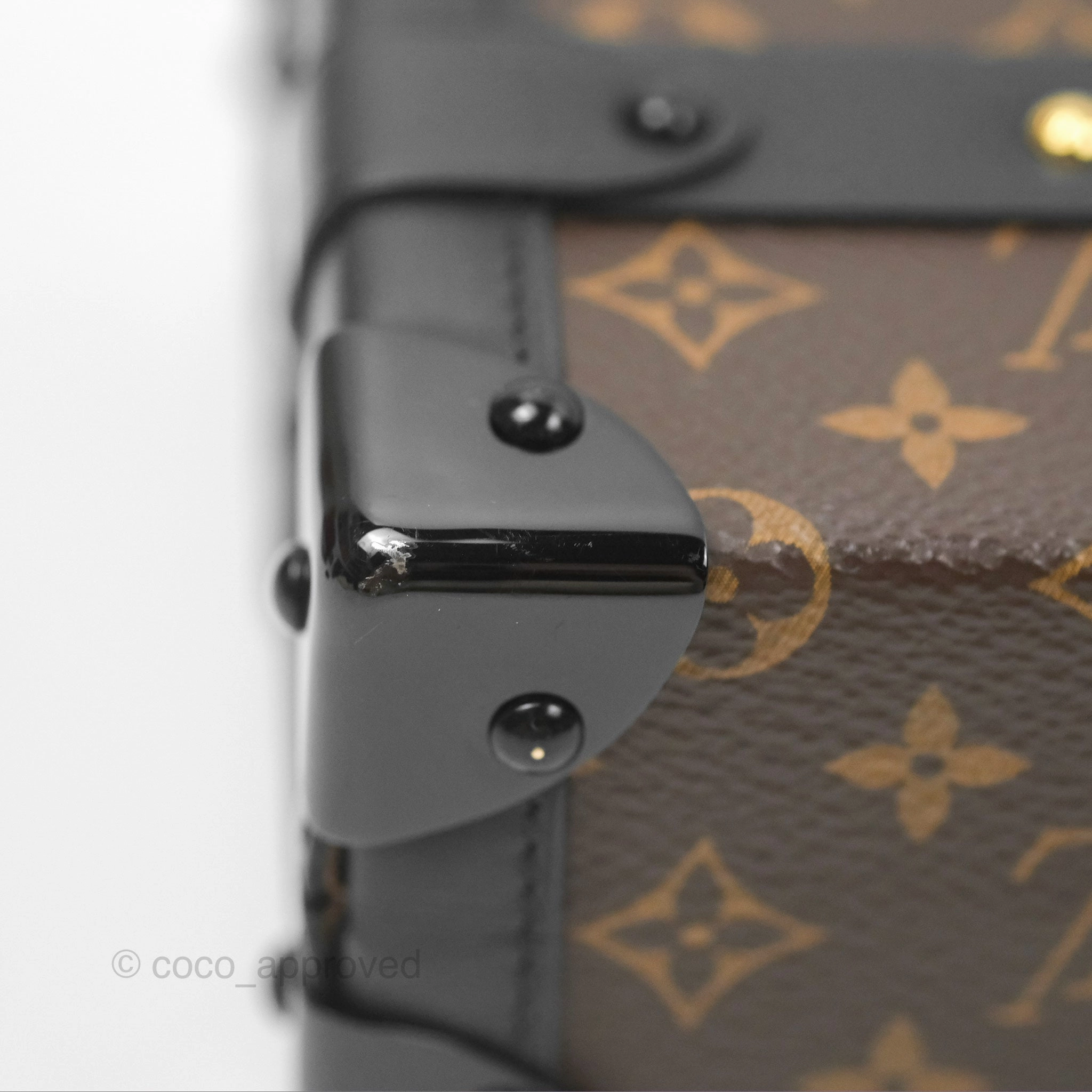 Louis Vuitton Monogram Petite Malle