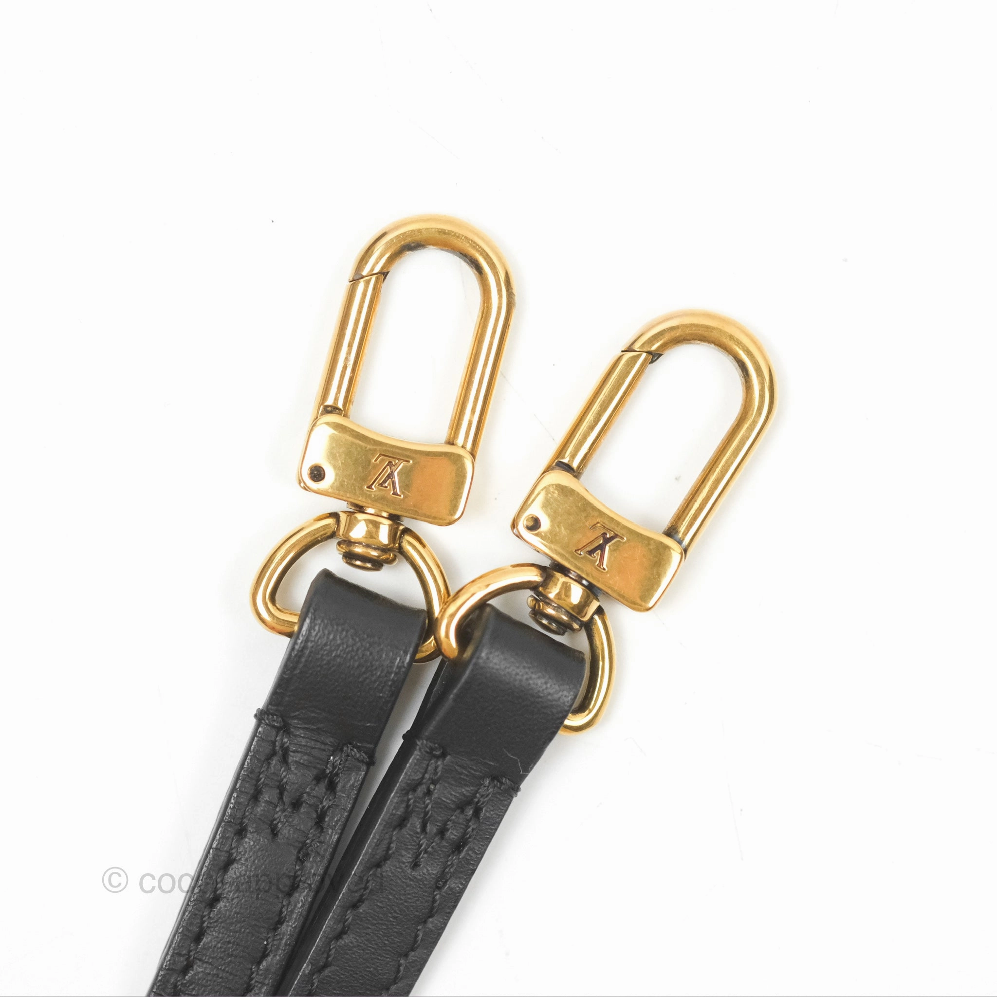 Louis Vuitton Monogram Petite Malle
